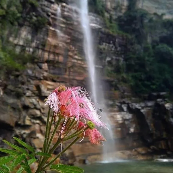 Hotel Alelos - Ituaçu Bahia
