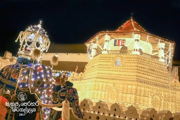 Apple Sara Home Stay