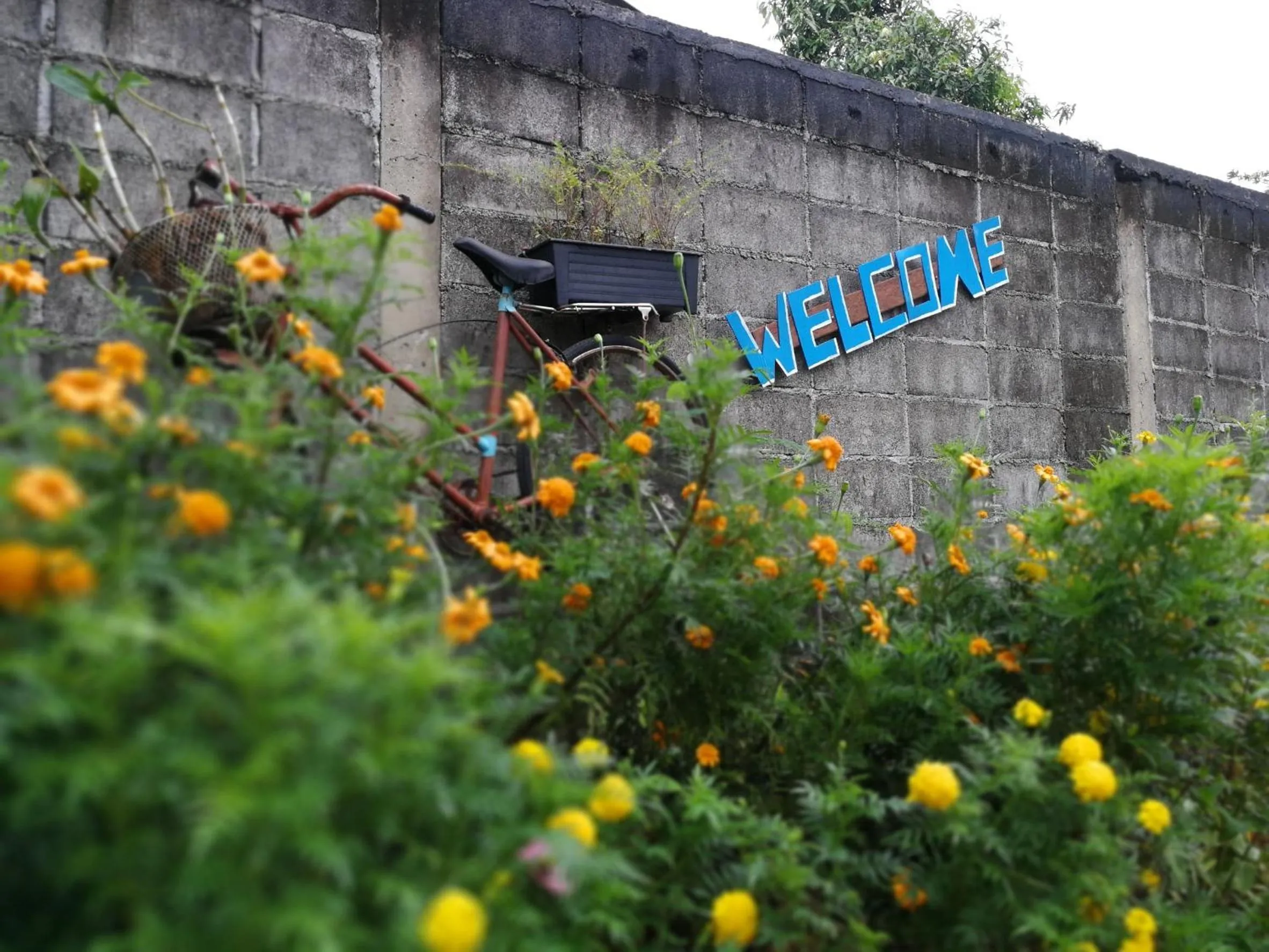 Property building in Baansuan Resort