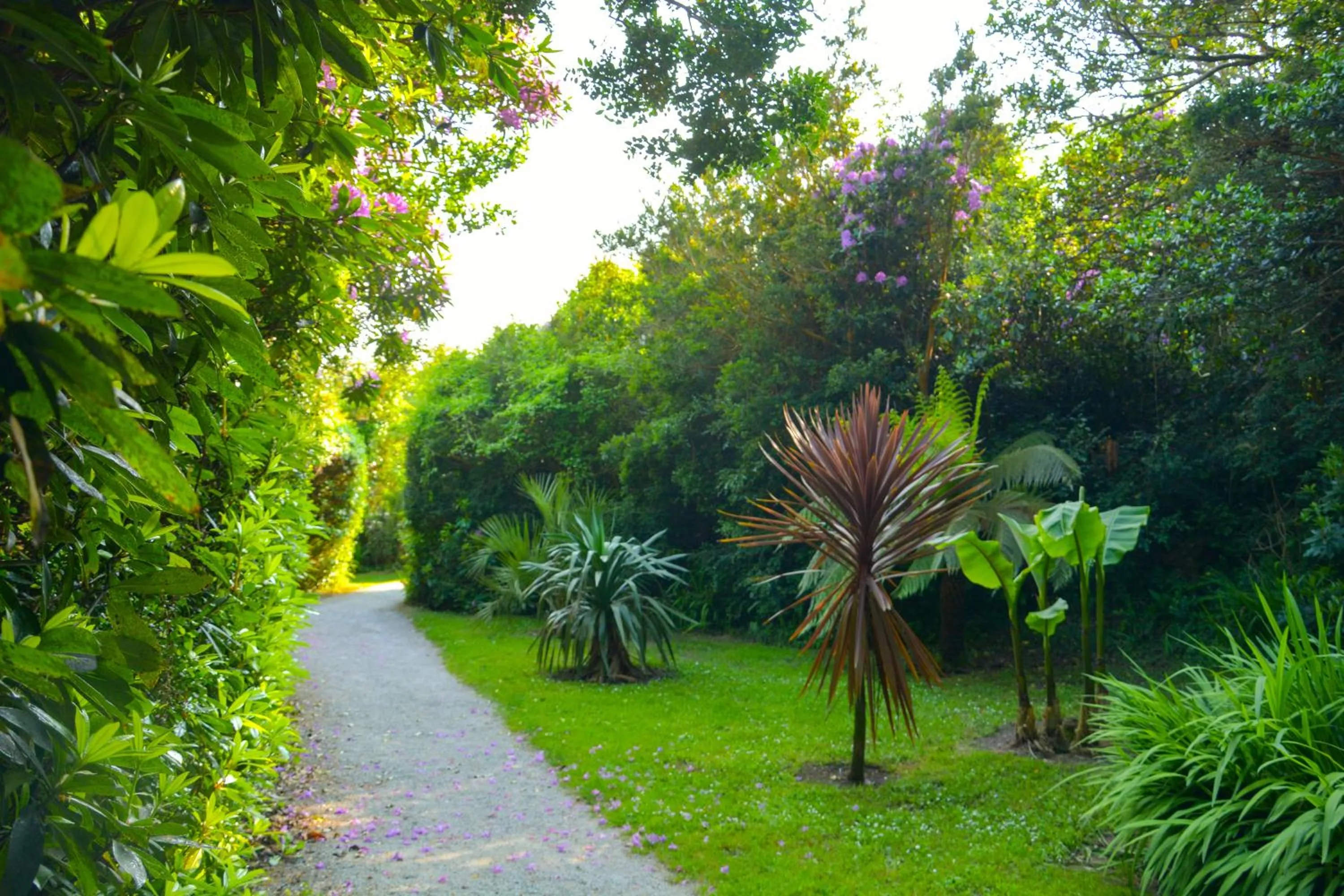 Natural landscape in Parknasilla Resort & Spa