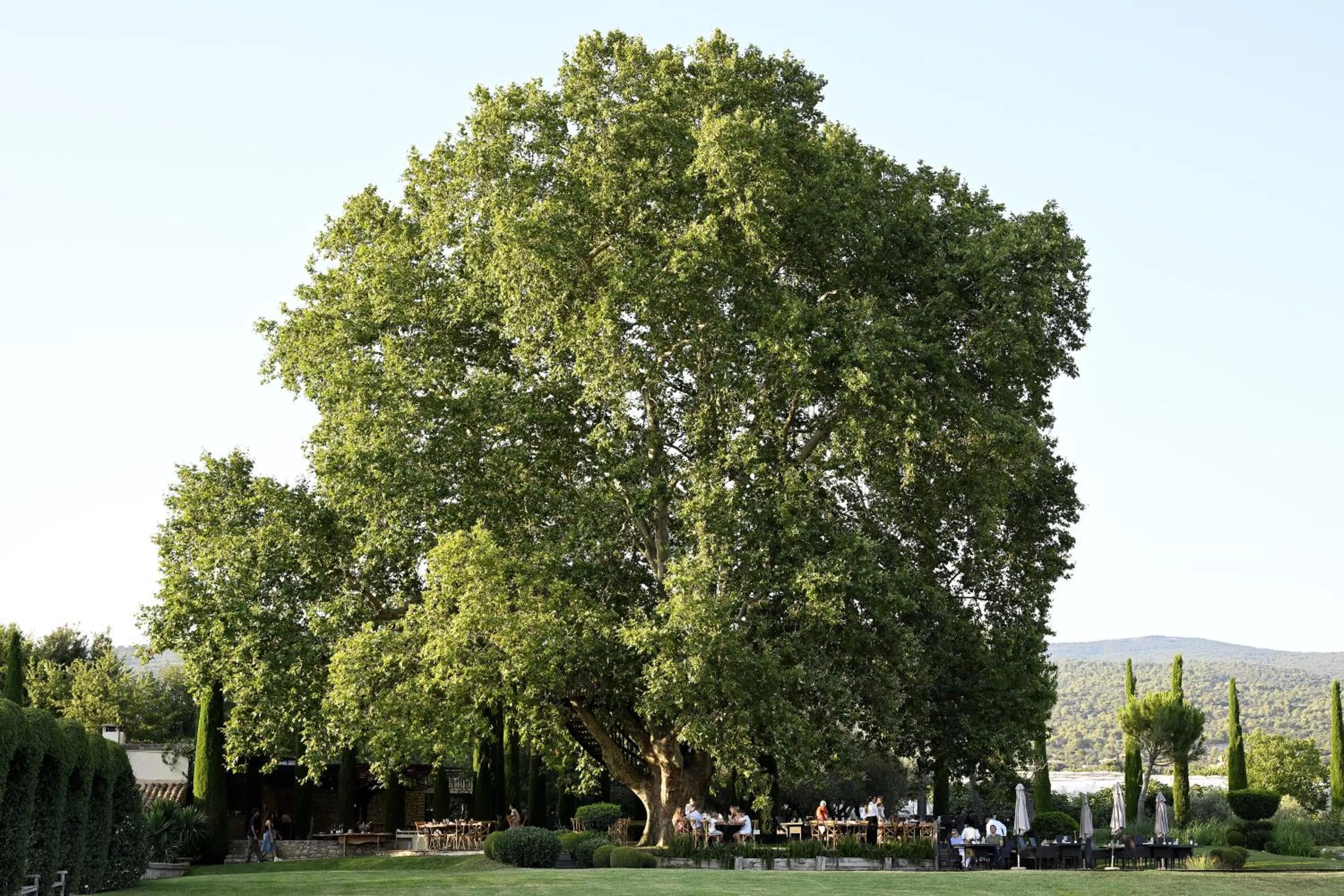 Restaurant/places to eat in Domaine des Andéols