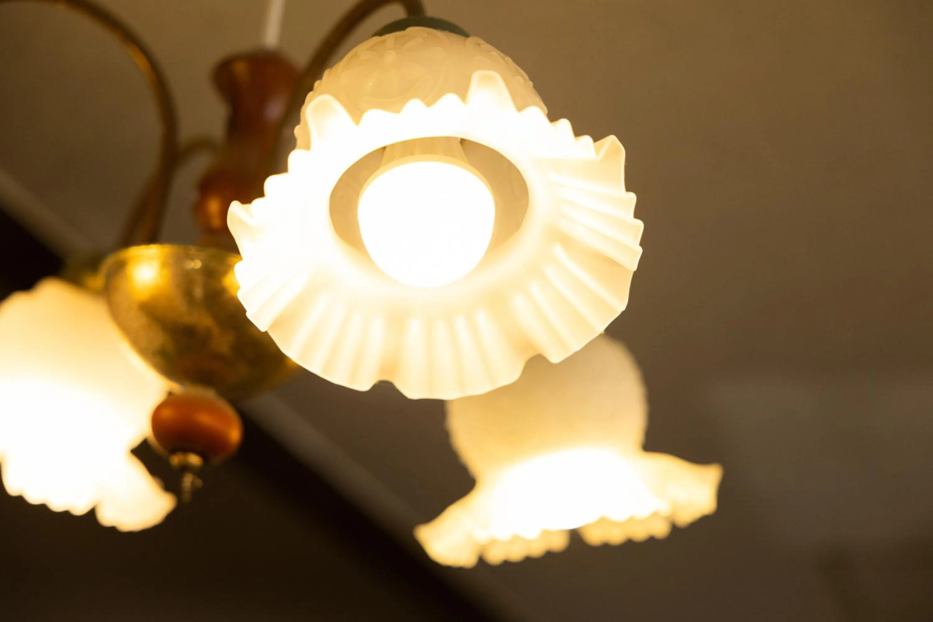 Decorative detail in Sakurajima Seaside Hotel