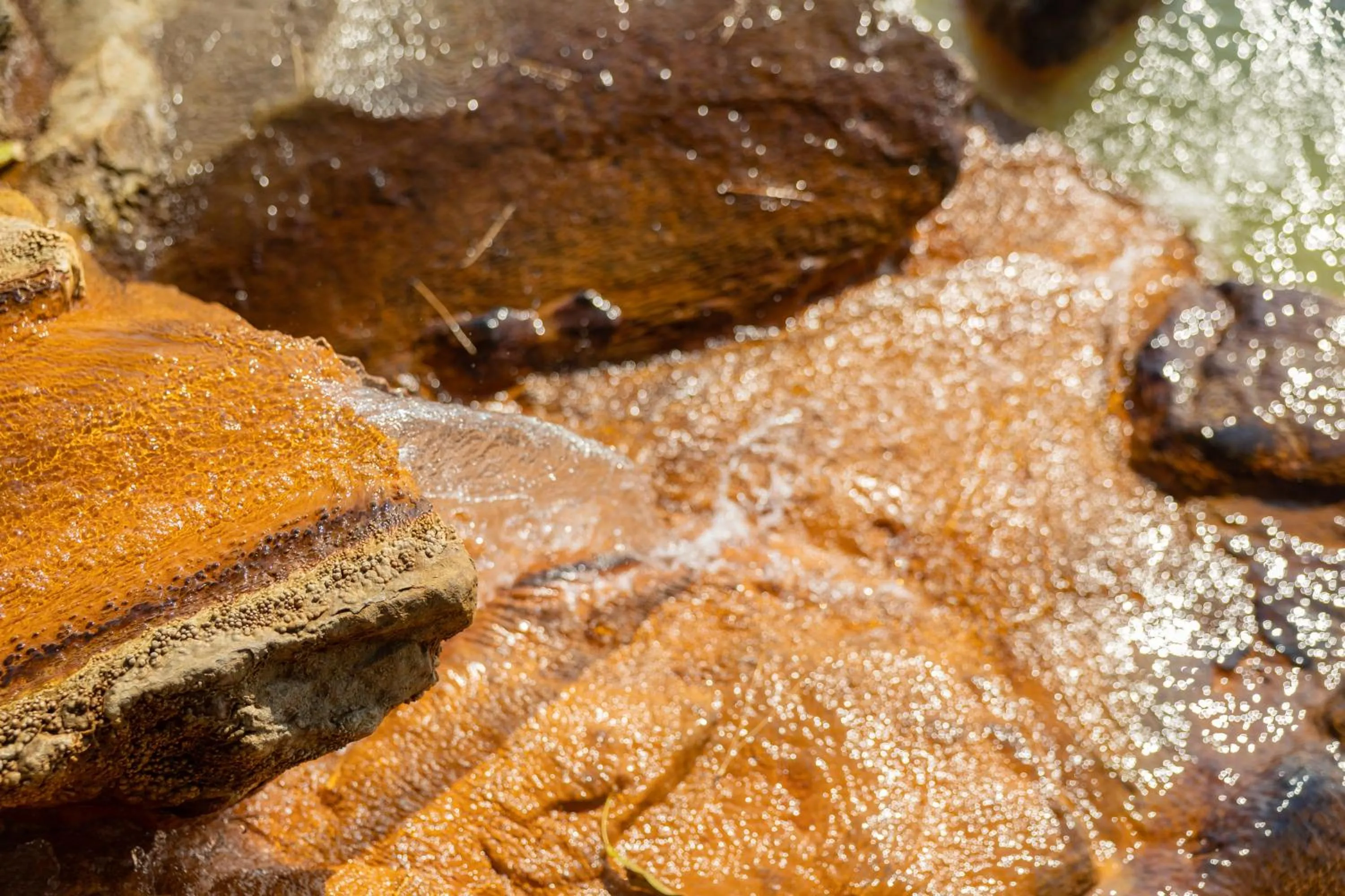 Open Air Bath in Sakurajima Seaside Hotel