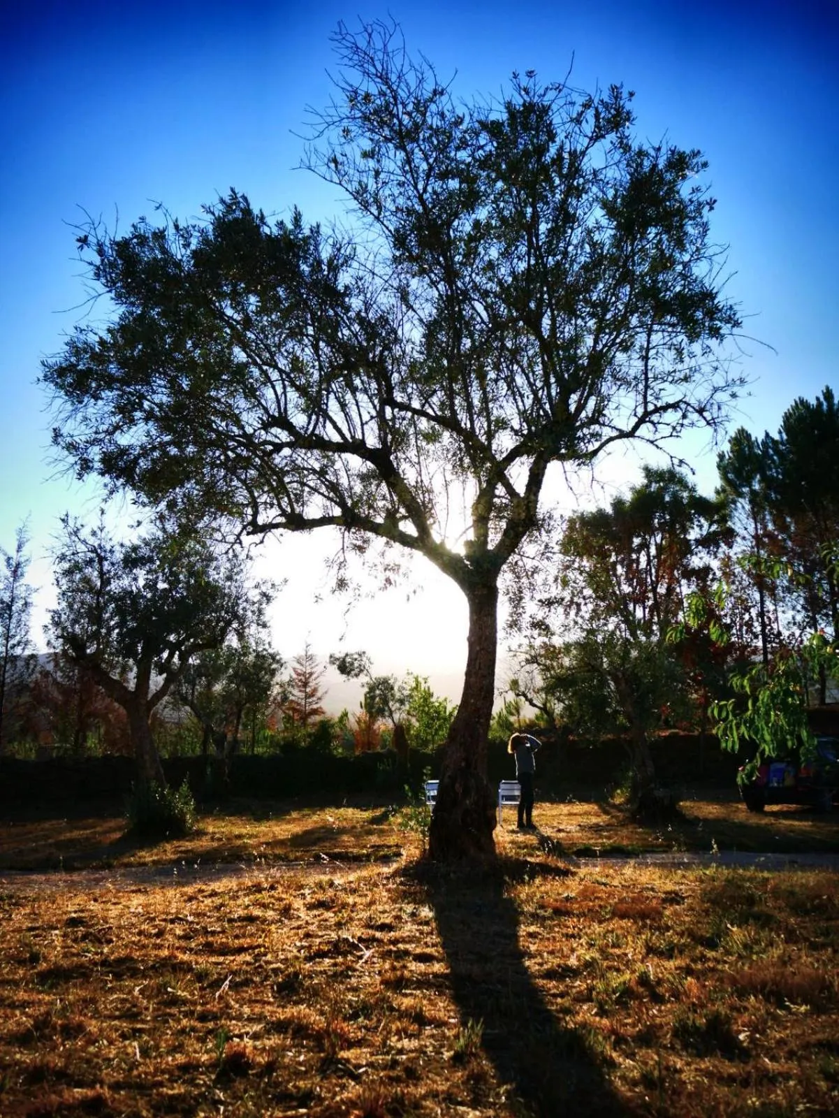 Garden view in Quinta do Castanheiro