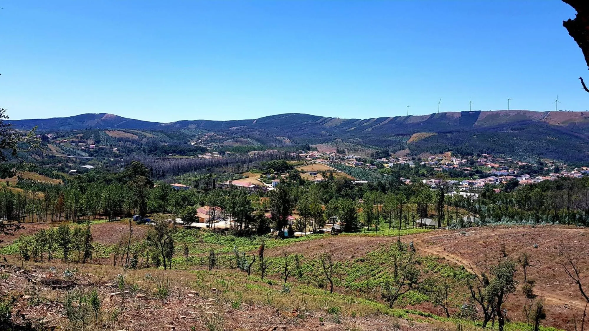 Area and facilities in Quinta do Castanheiro