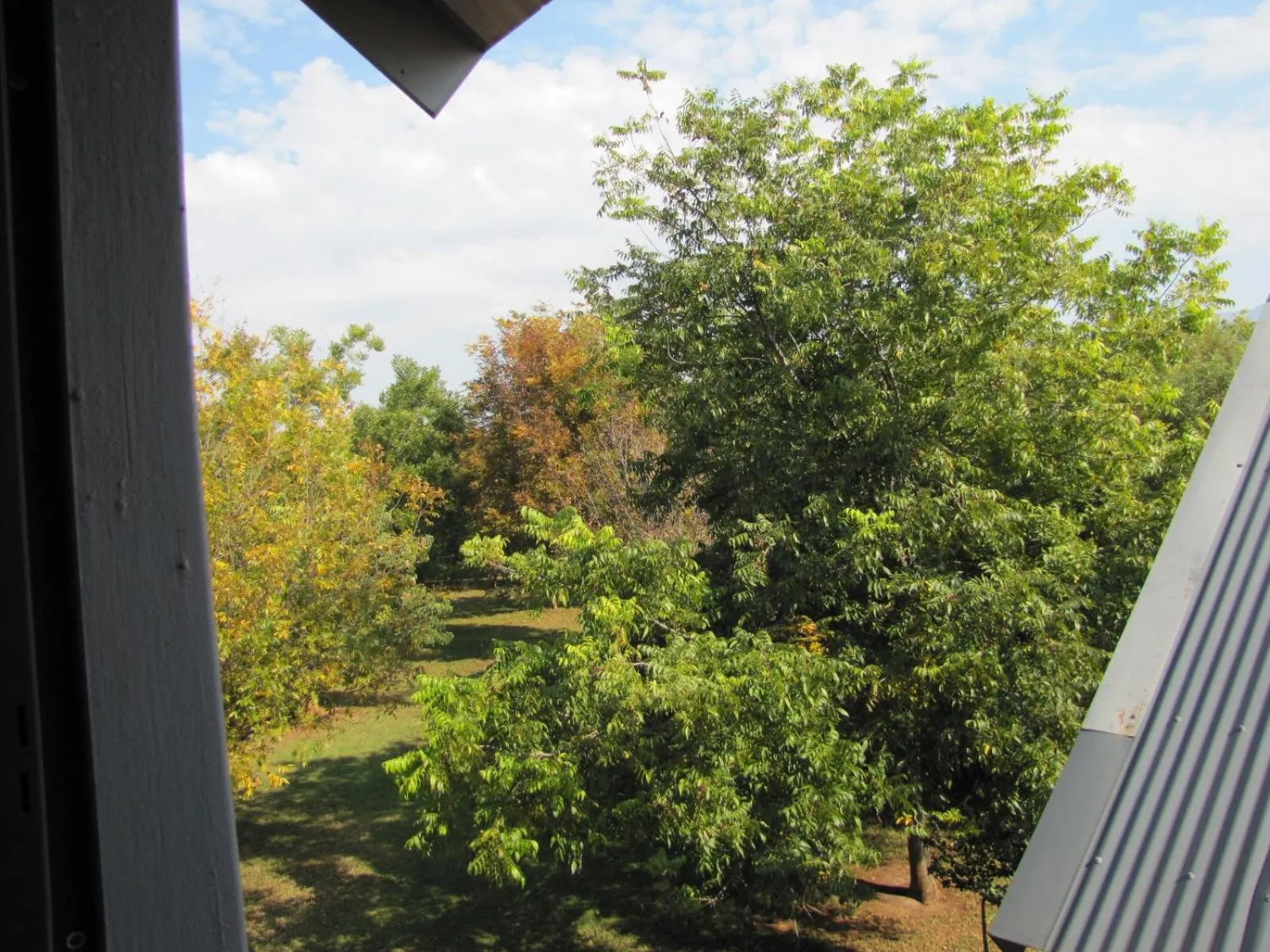 Natural landscape in Millstream Inn guest house