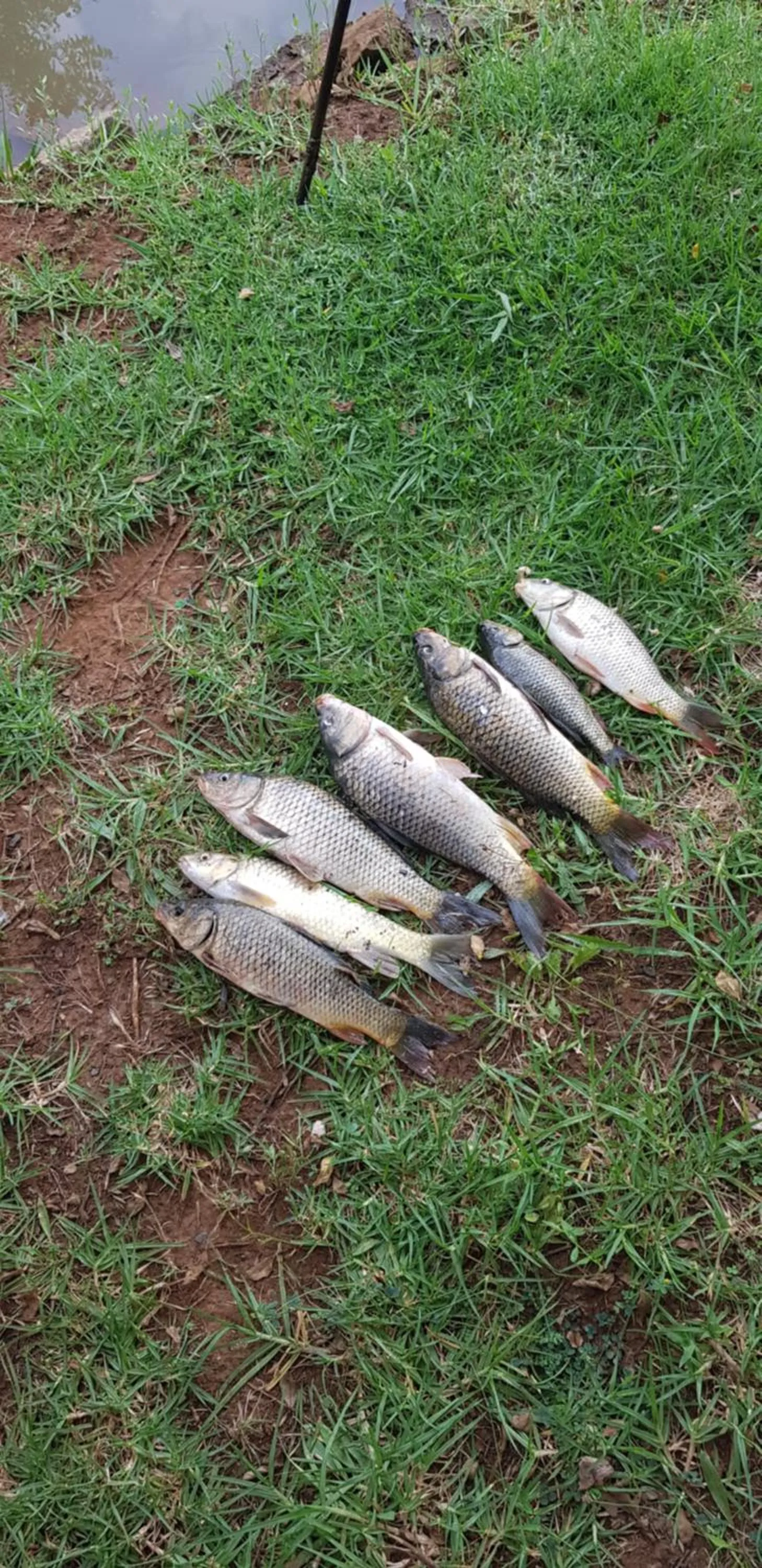 Millstream Inn guest house