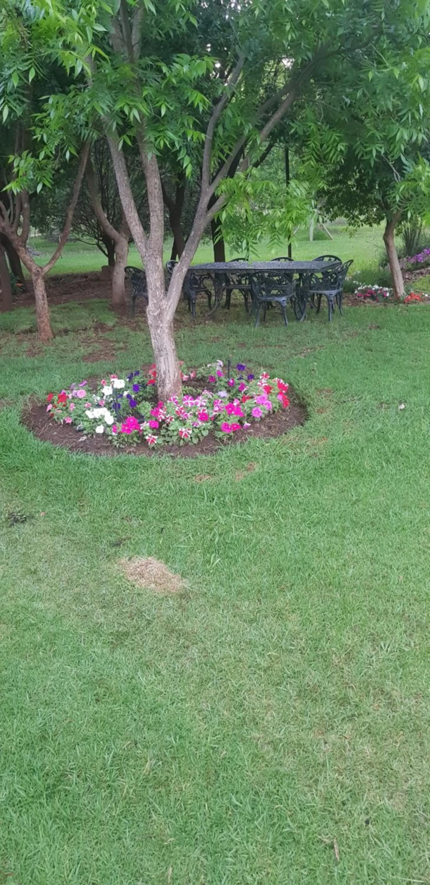 Garden in Millstream Inn guest house