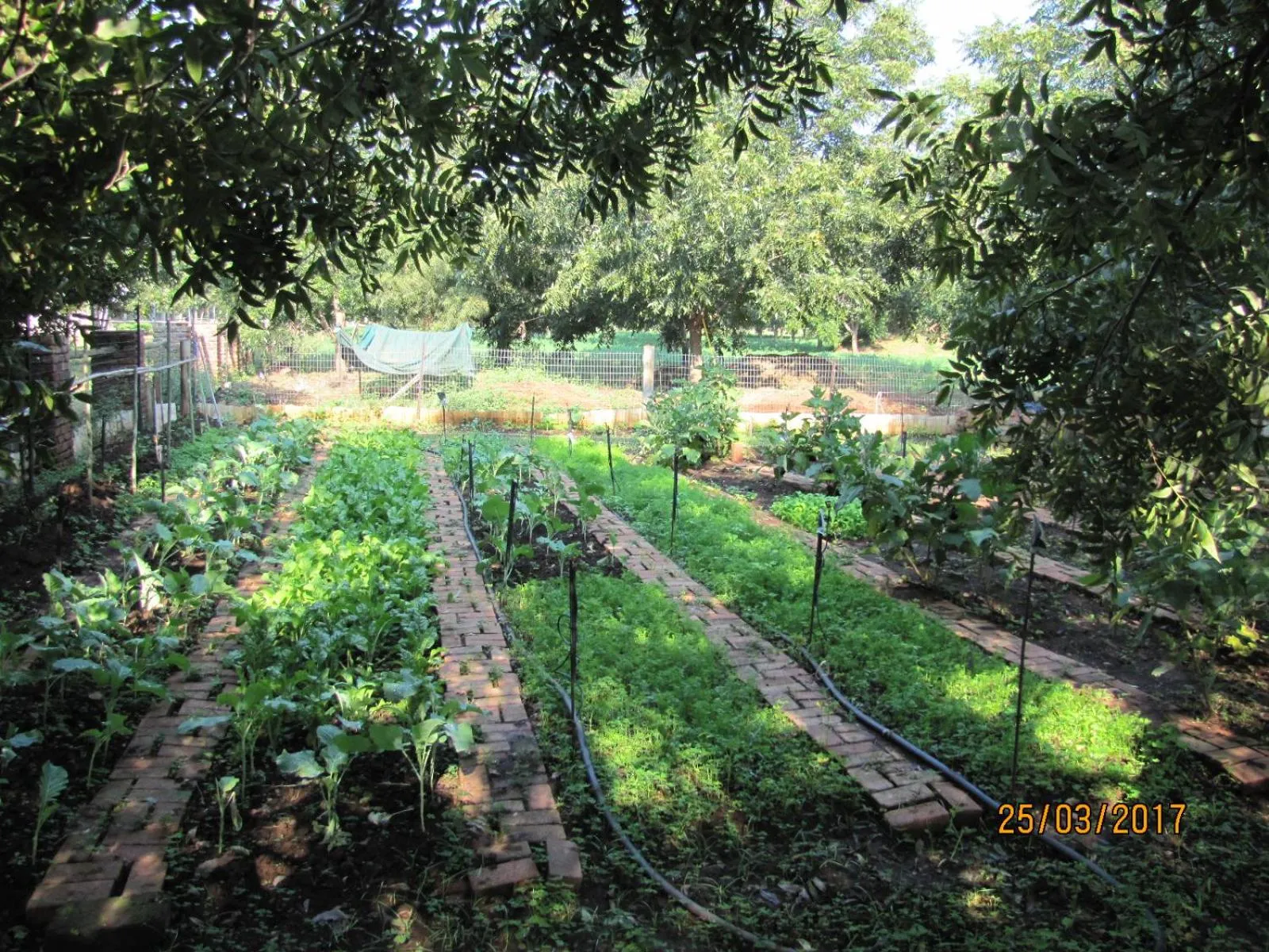 Garden in Millstream Inn guest house