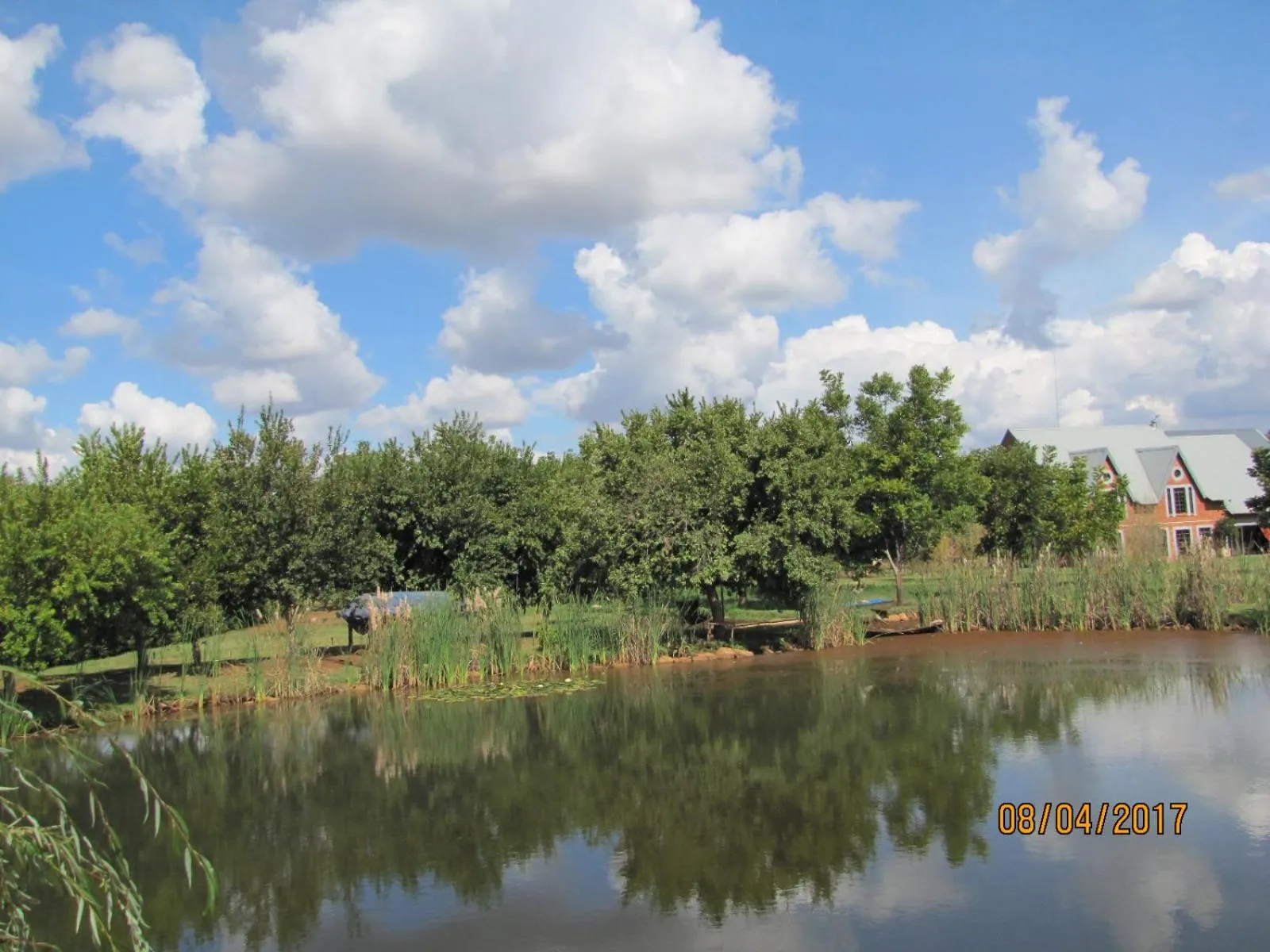 Garden view in Millstream Inn guest house