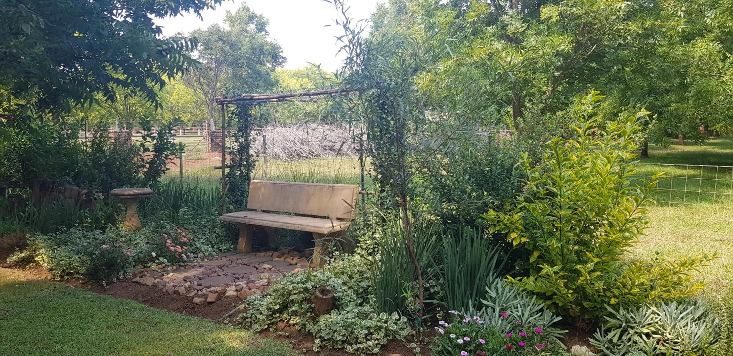 Garden in Millstream Inn guest house