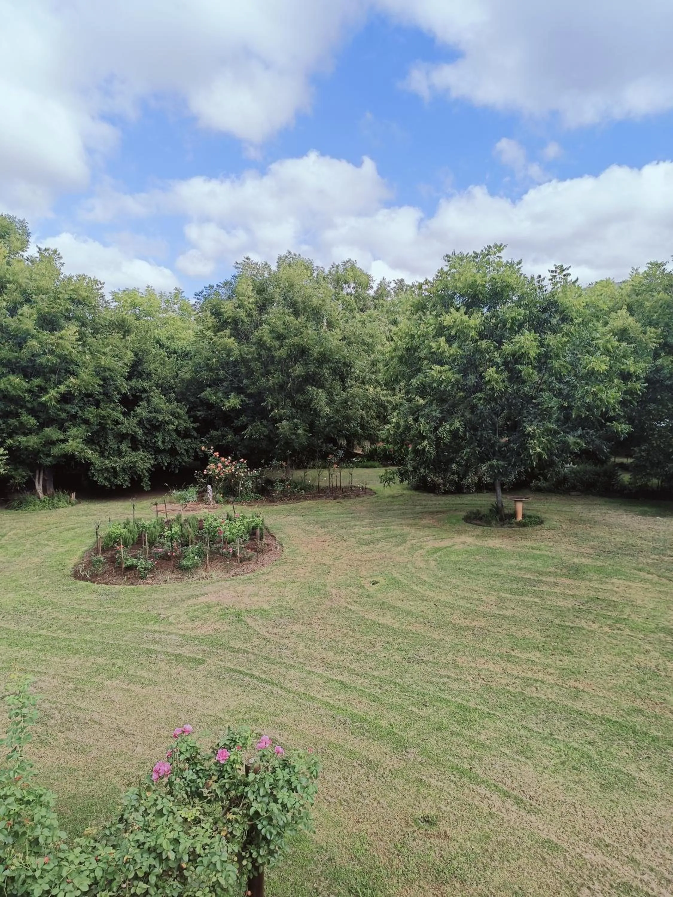 Millstream Inn guest house