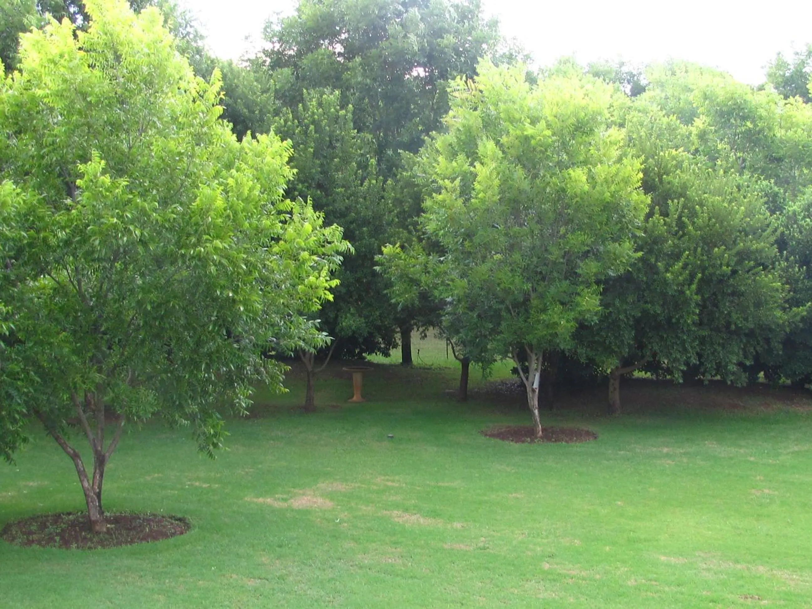 Garden view in Millstream Inn guest house