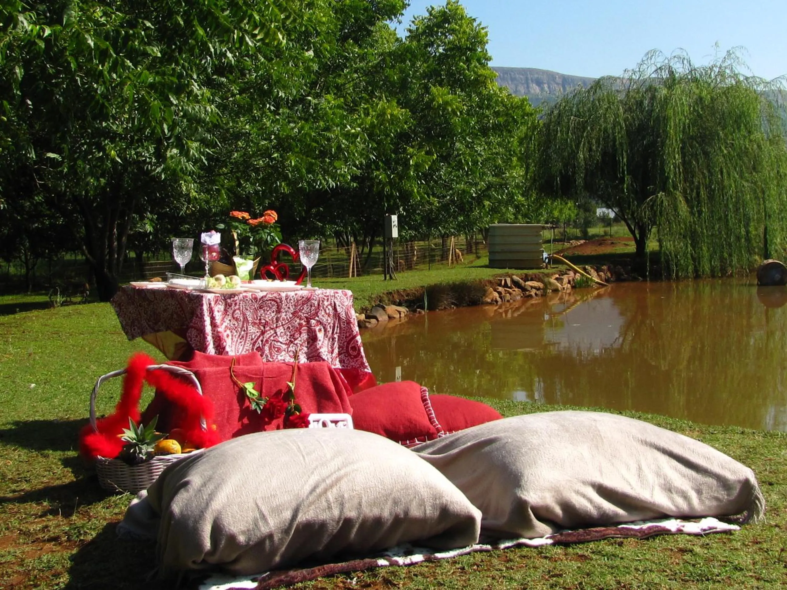 Lake view in Millstream Inn guest house