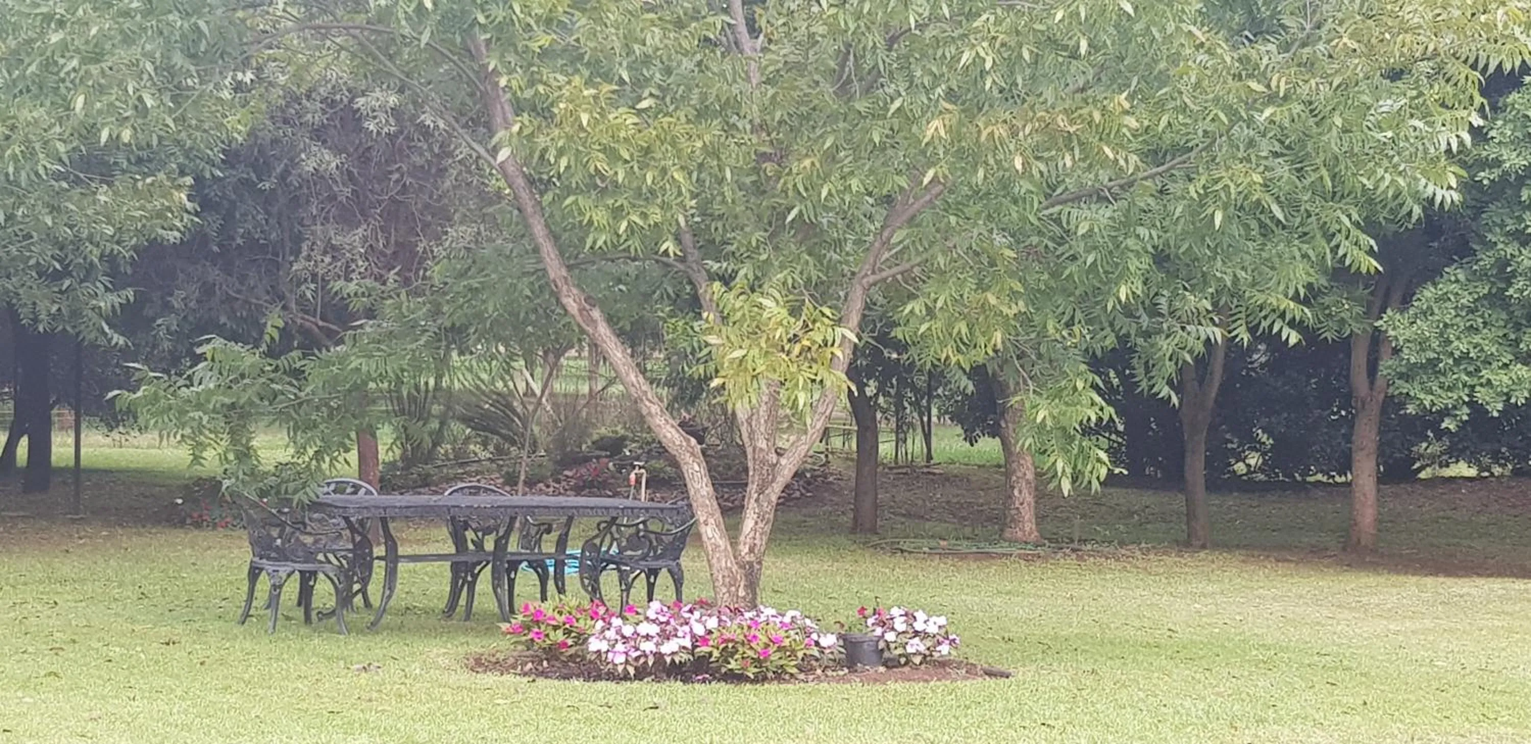 Garden in Millstream Inn guest house