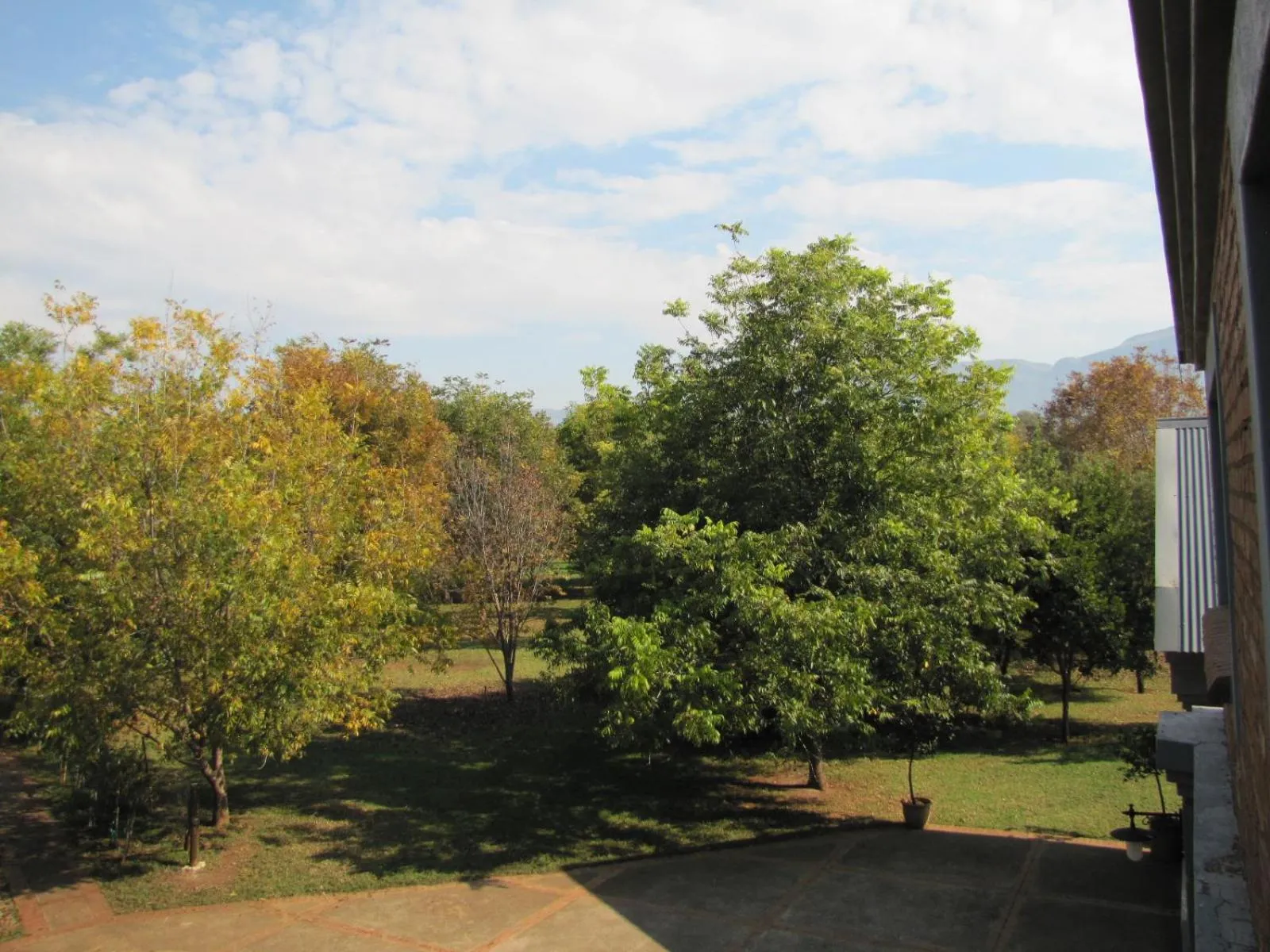 Natural landscape in Millstream Inn guest house