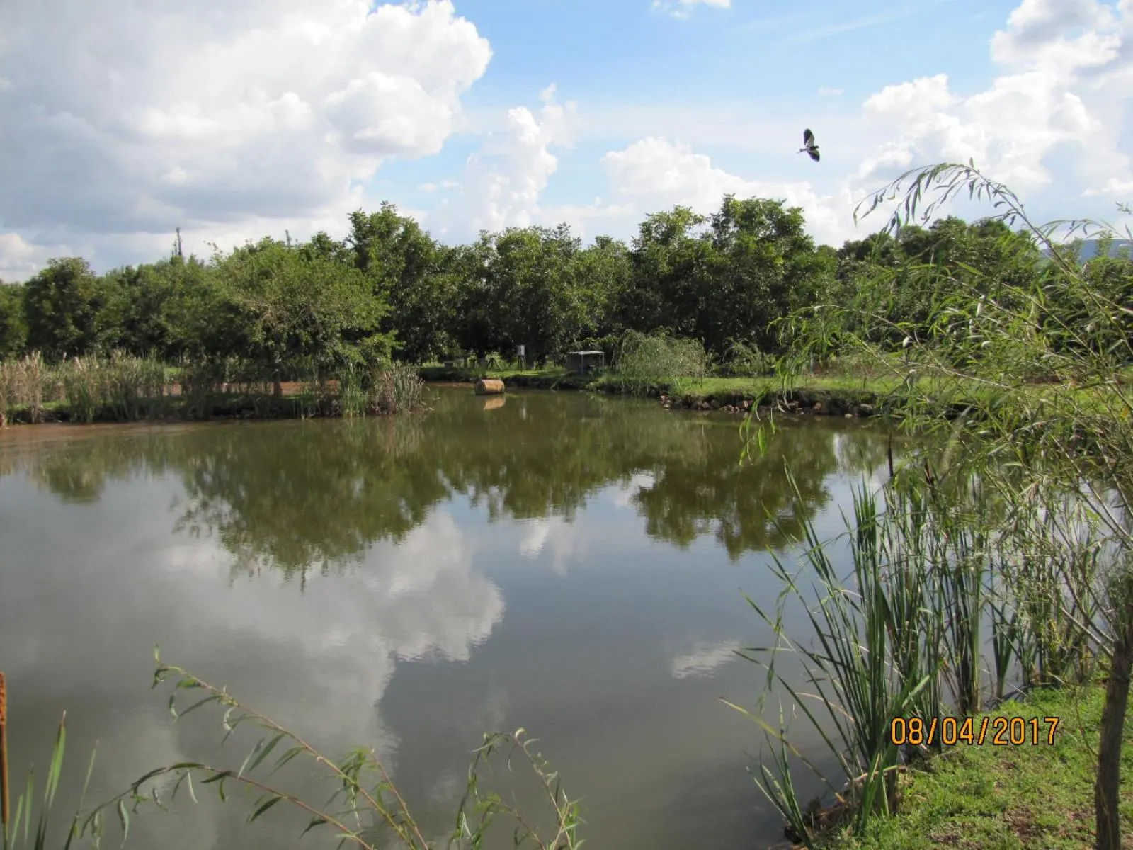 Lake view in Millstream Inn guest house