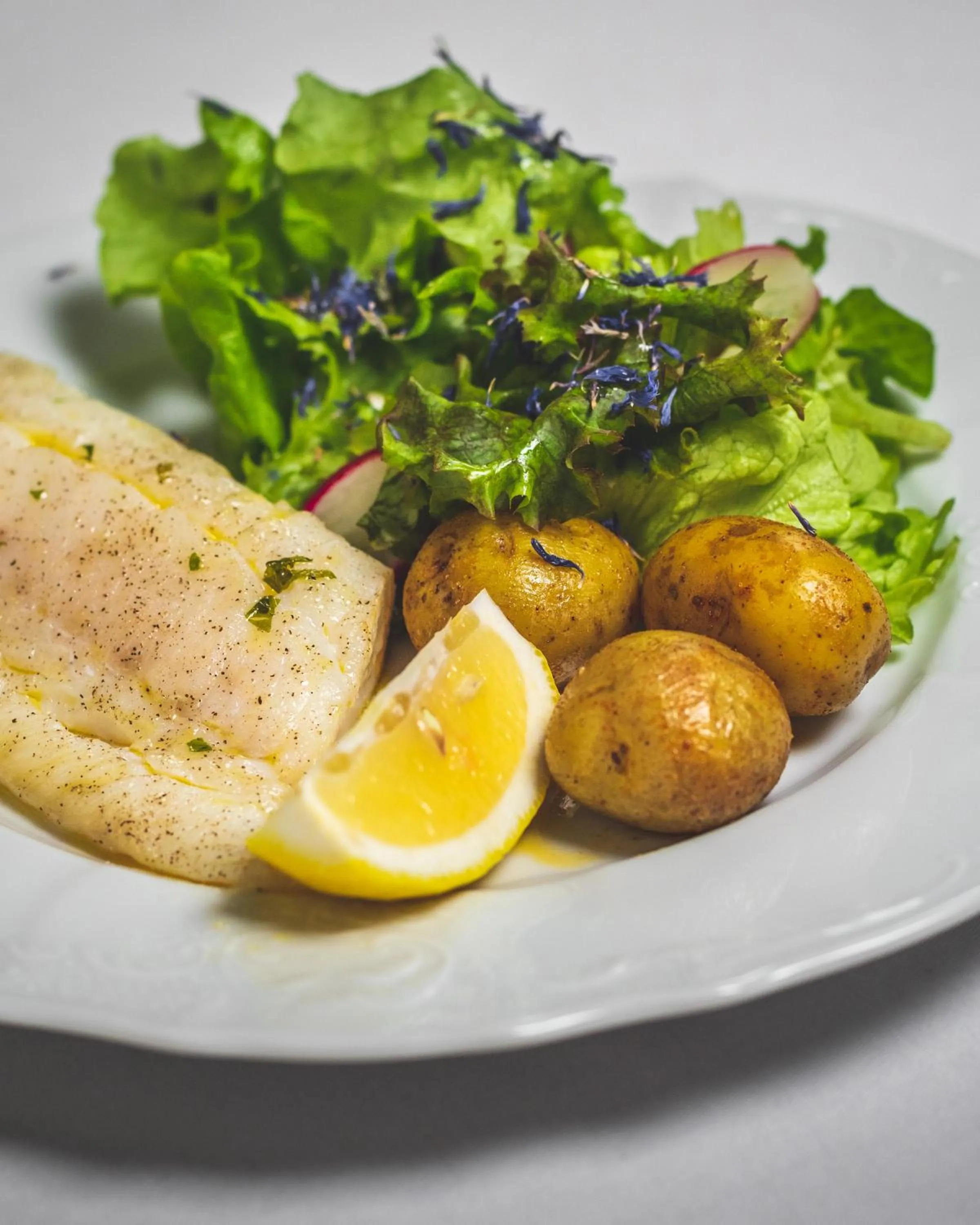 Restaurant/places to eat in Hótel Dyrhólaey