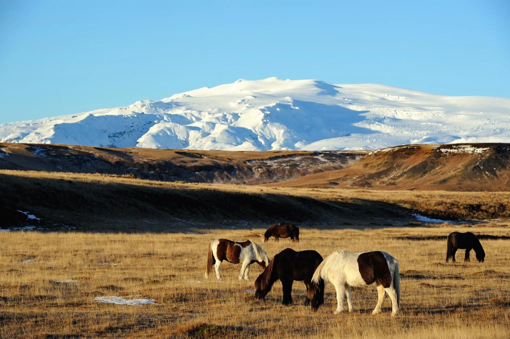 Property building in Hótel Dyrhólaey