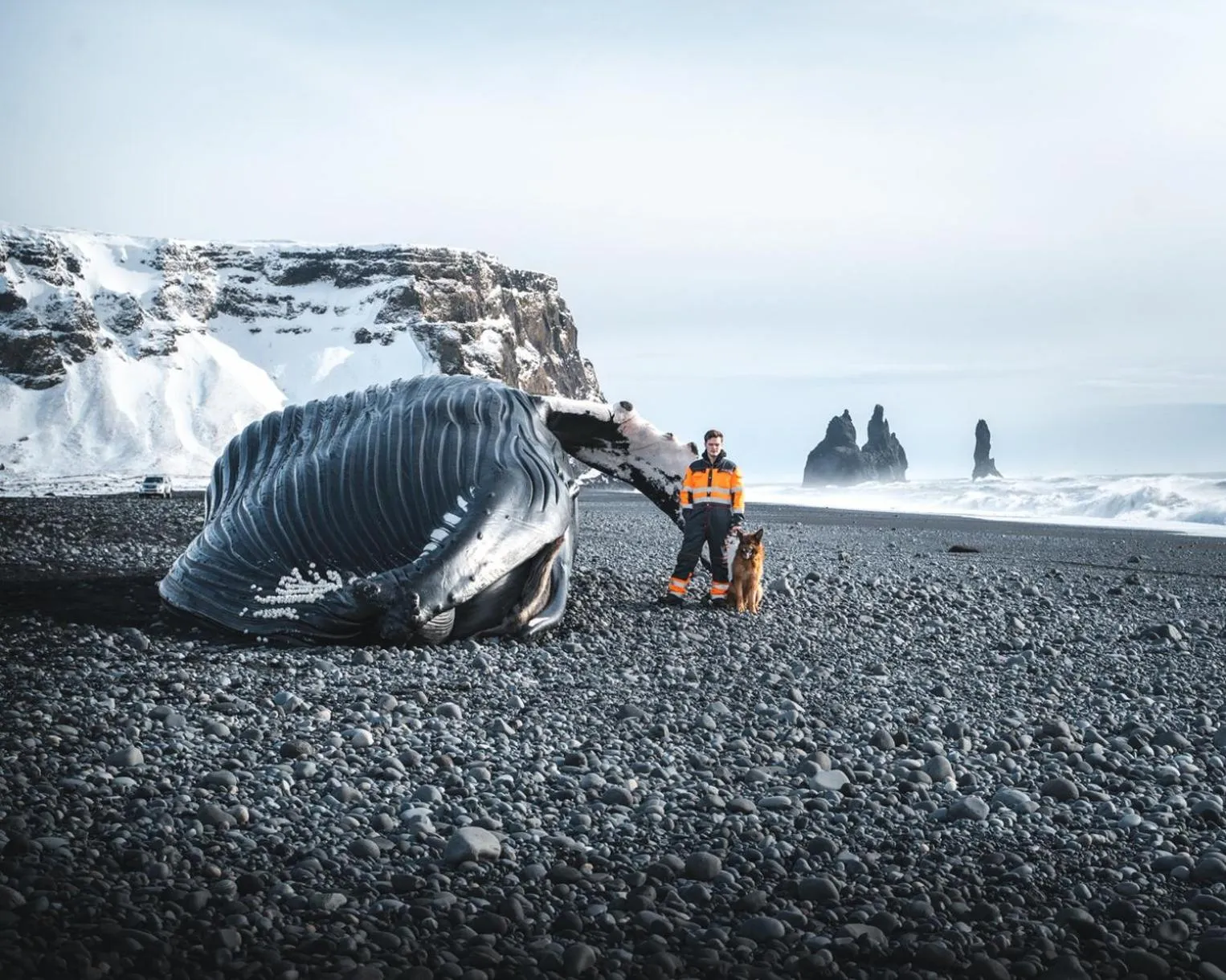 Natural landscape in Hótel Dyrhólaey
