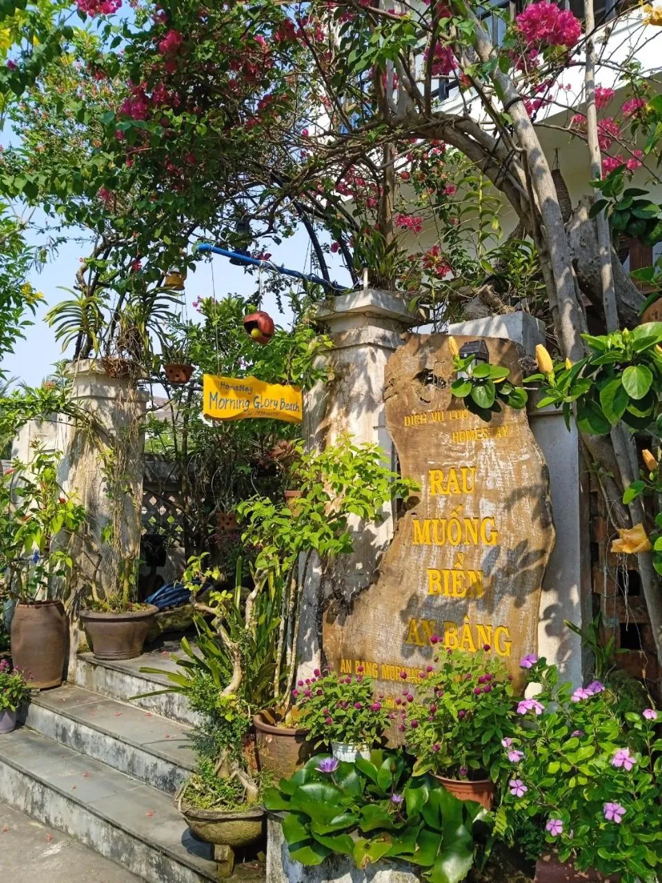 Property building in AnBang Morning Glory Beach Homestay 호이안 안방비치 숙소호텔