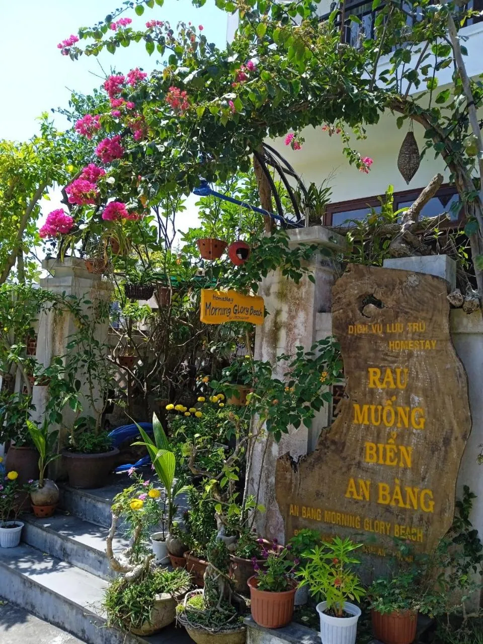 Property building in AnBang Morning Glory Beach Homestay 호이안 안방비치 숙소호텔