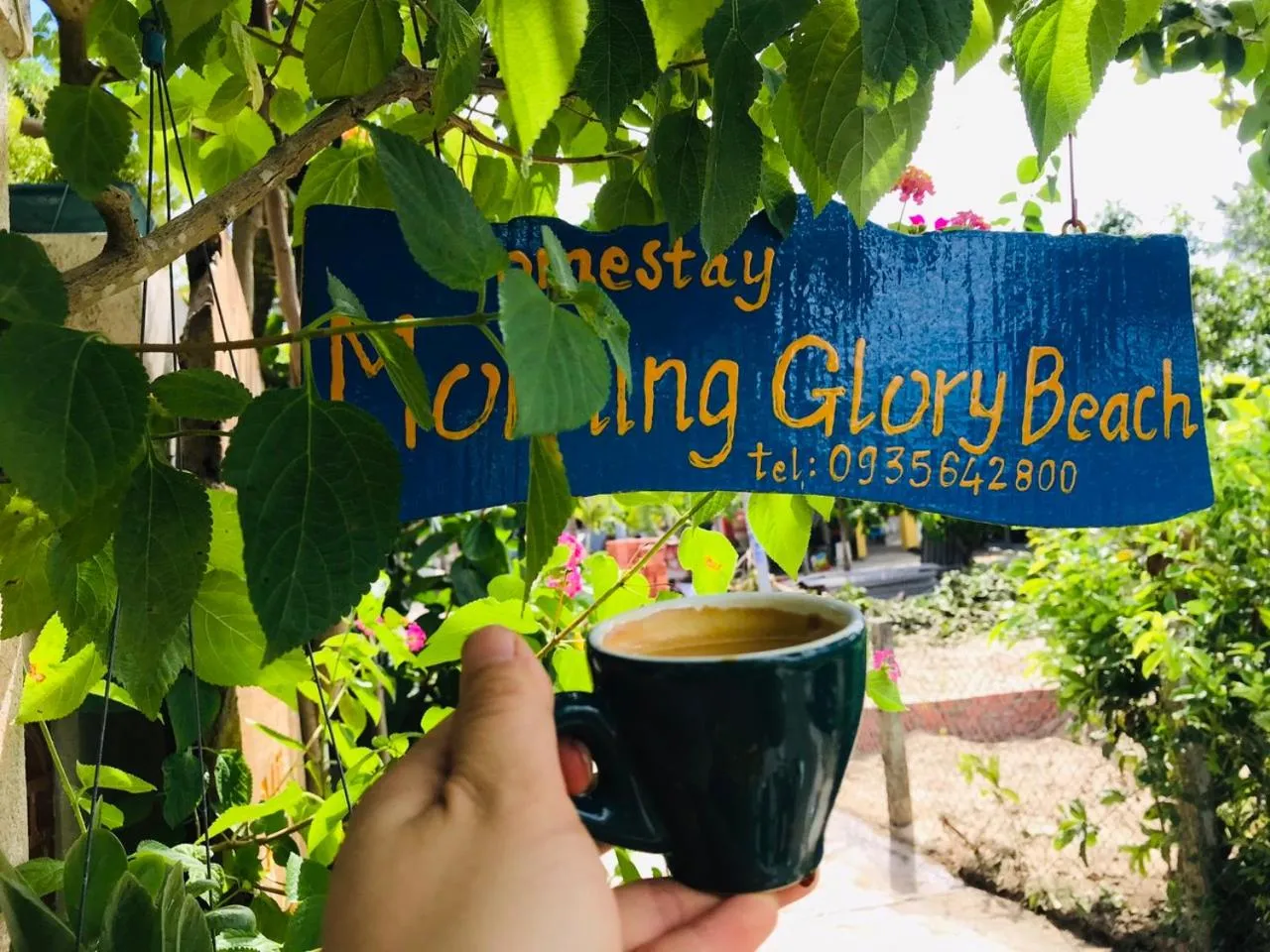 Property building in AnBang Morning Glory Beach Homestay 호이안 안방비치 숙소호텔