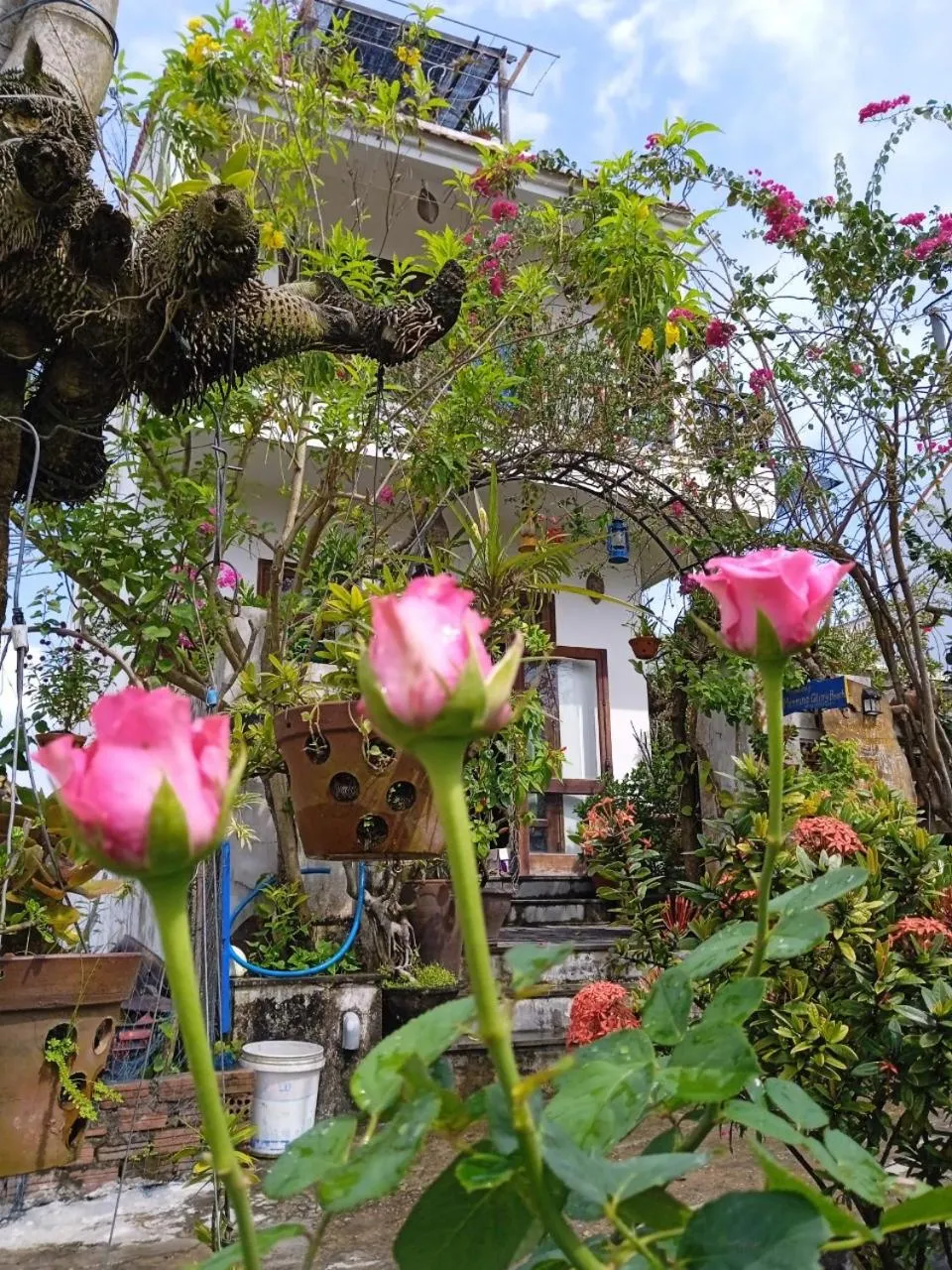 Property building in AnBang Morning Glory Beach Homestay 호이안 안방비치 숙소호텔