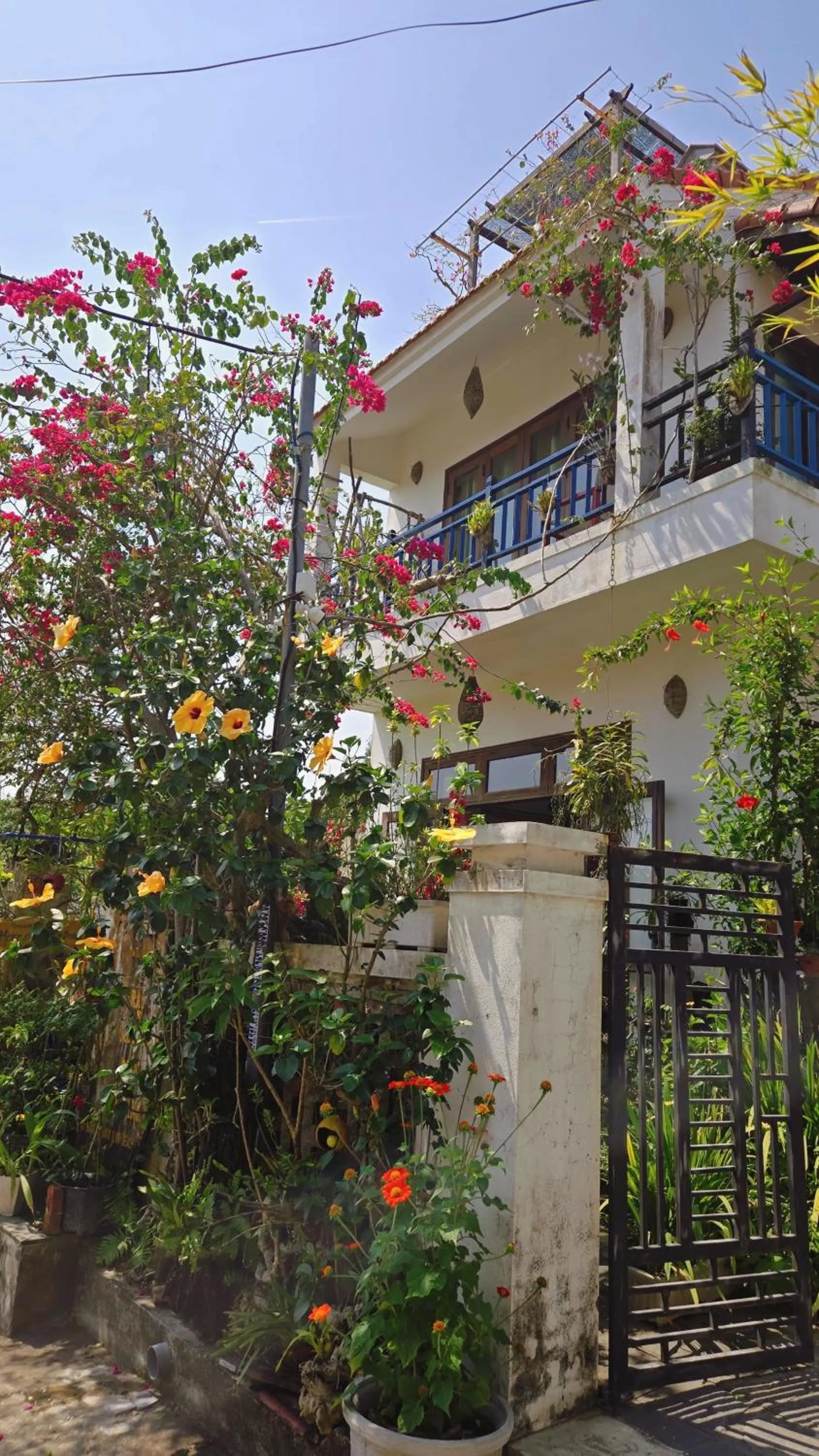 Property building in AnBang Morning Glory Beach Homestay 호이안 안방비치 숙소호텔