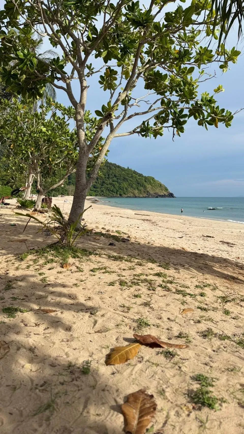 Natural landscape in Asama Bungalow