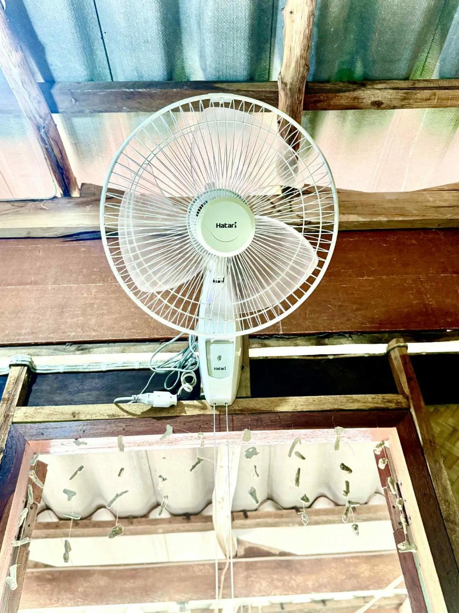 Photo of the whole room in Asama Bungalow