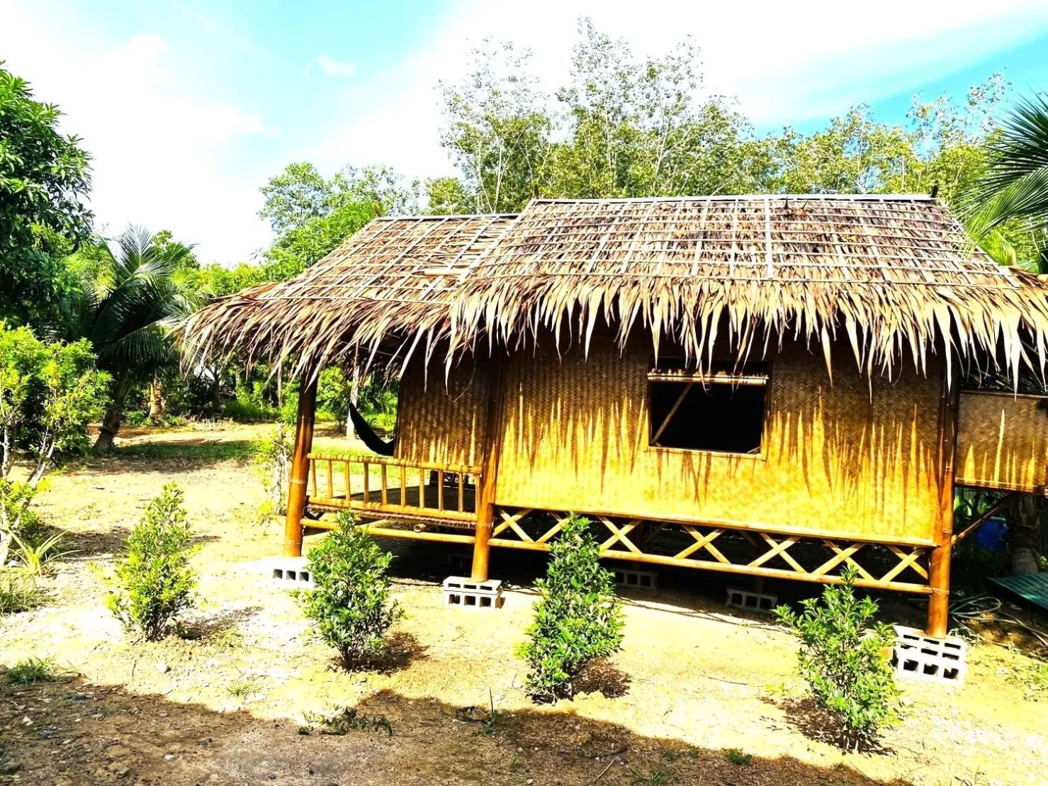 View (from property/room) in Asama Bungalow