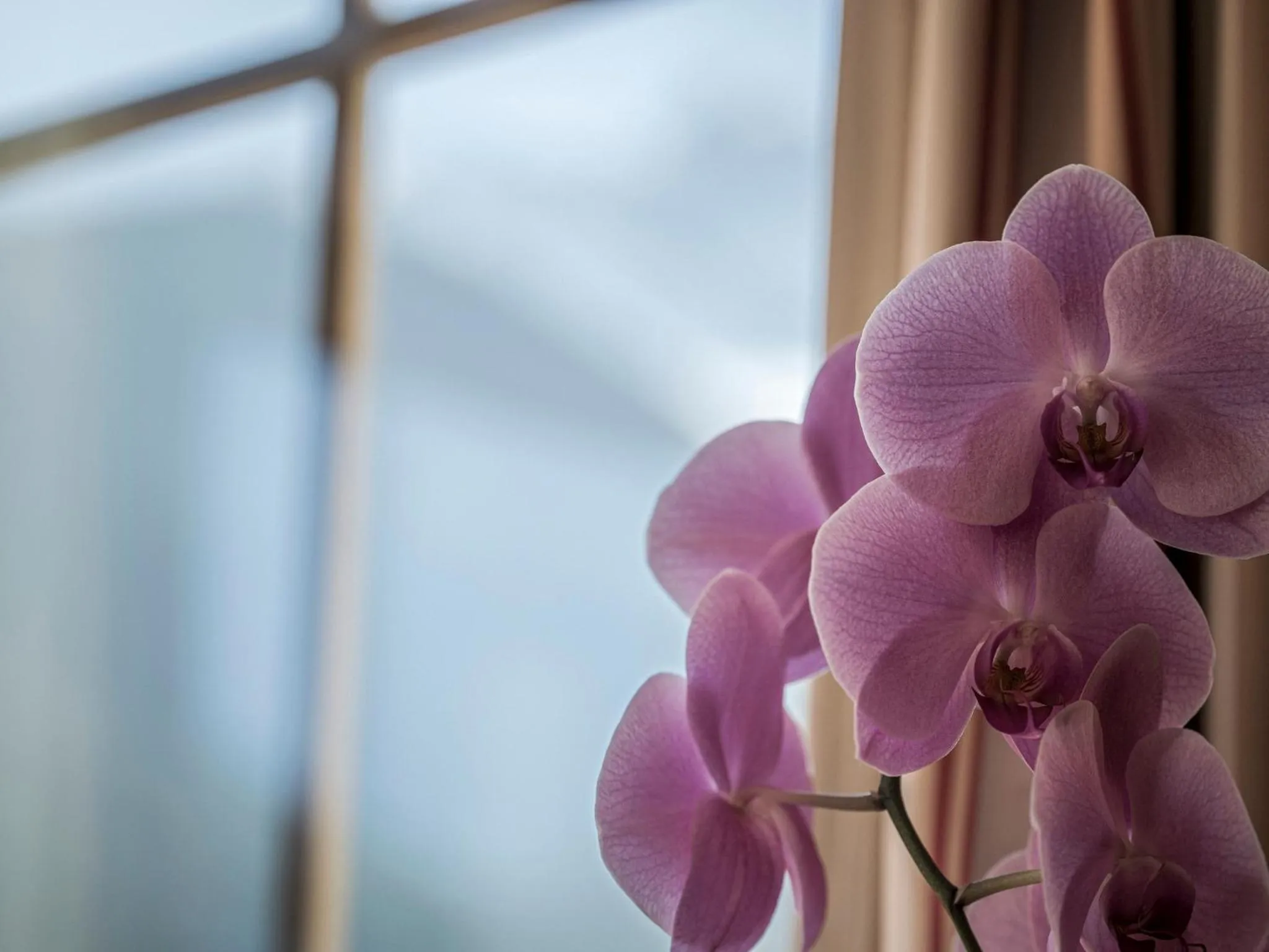 Appartementhaus Sennhüttn