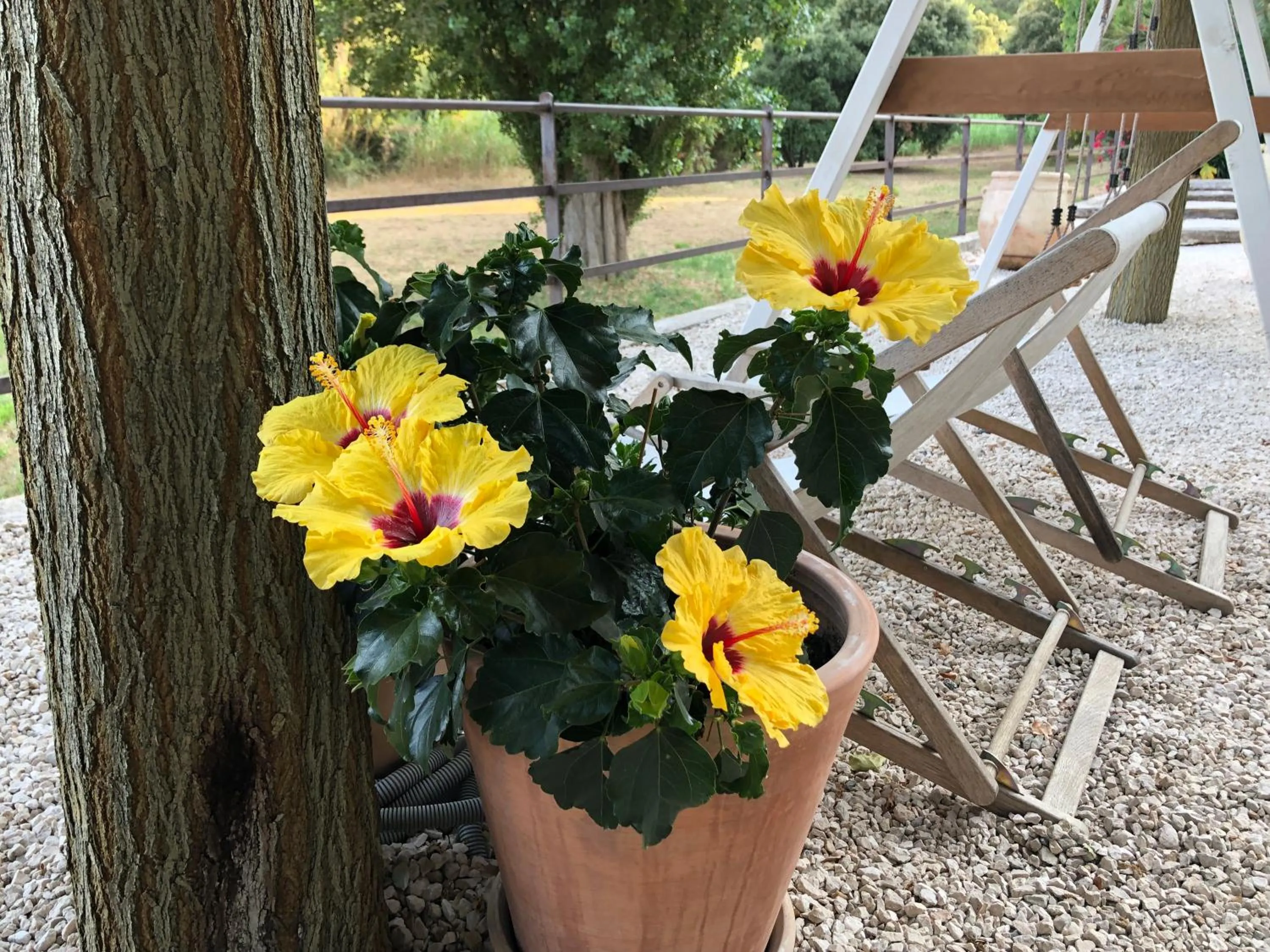 Garden view in Le Clos des Sept Palmiers