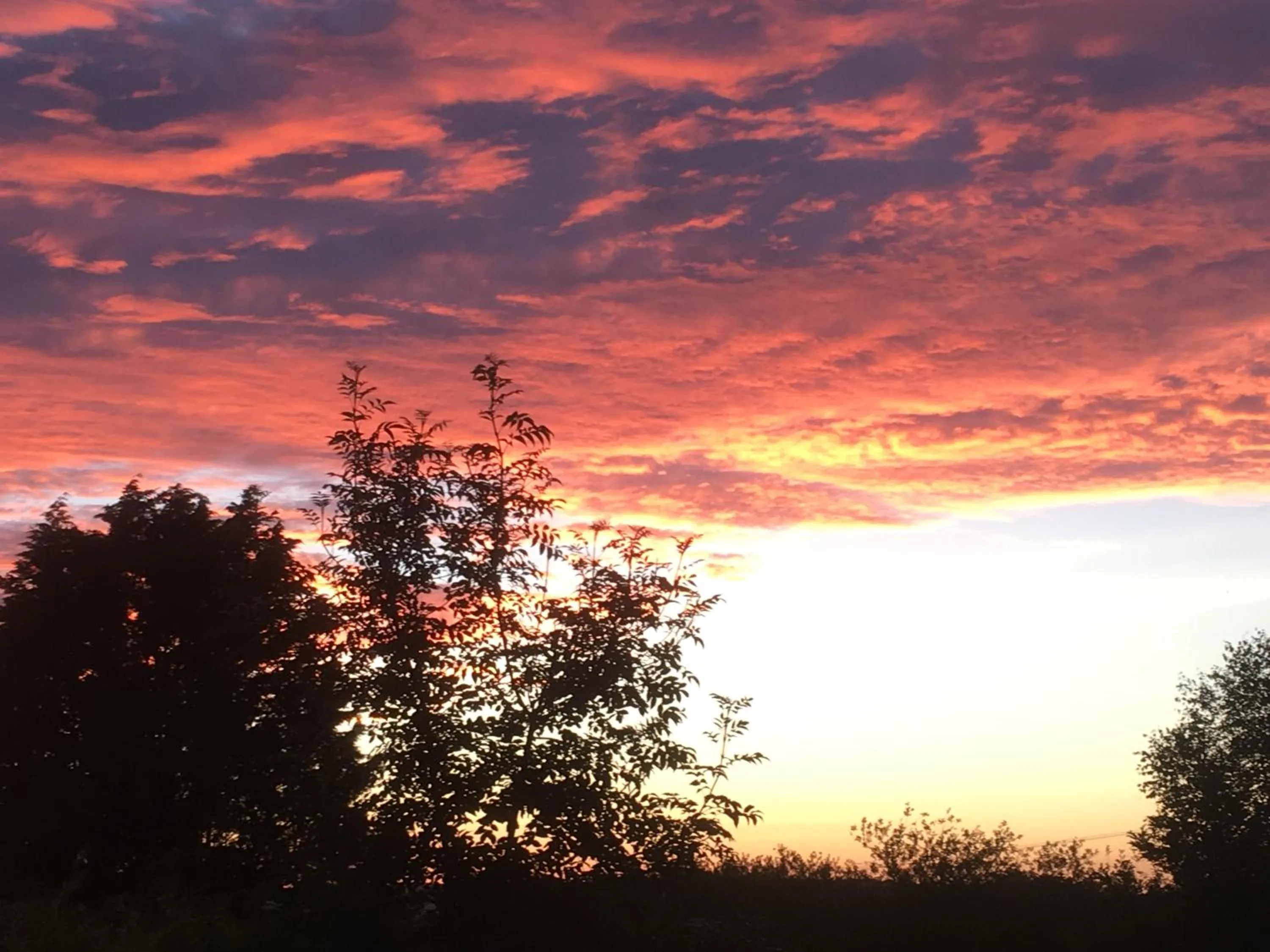 Stoke House Bed and Breakfast