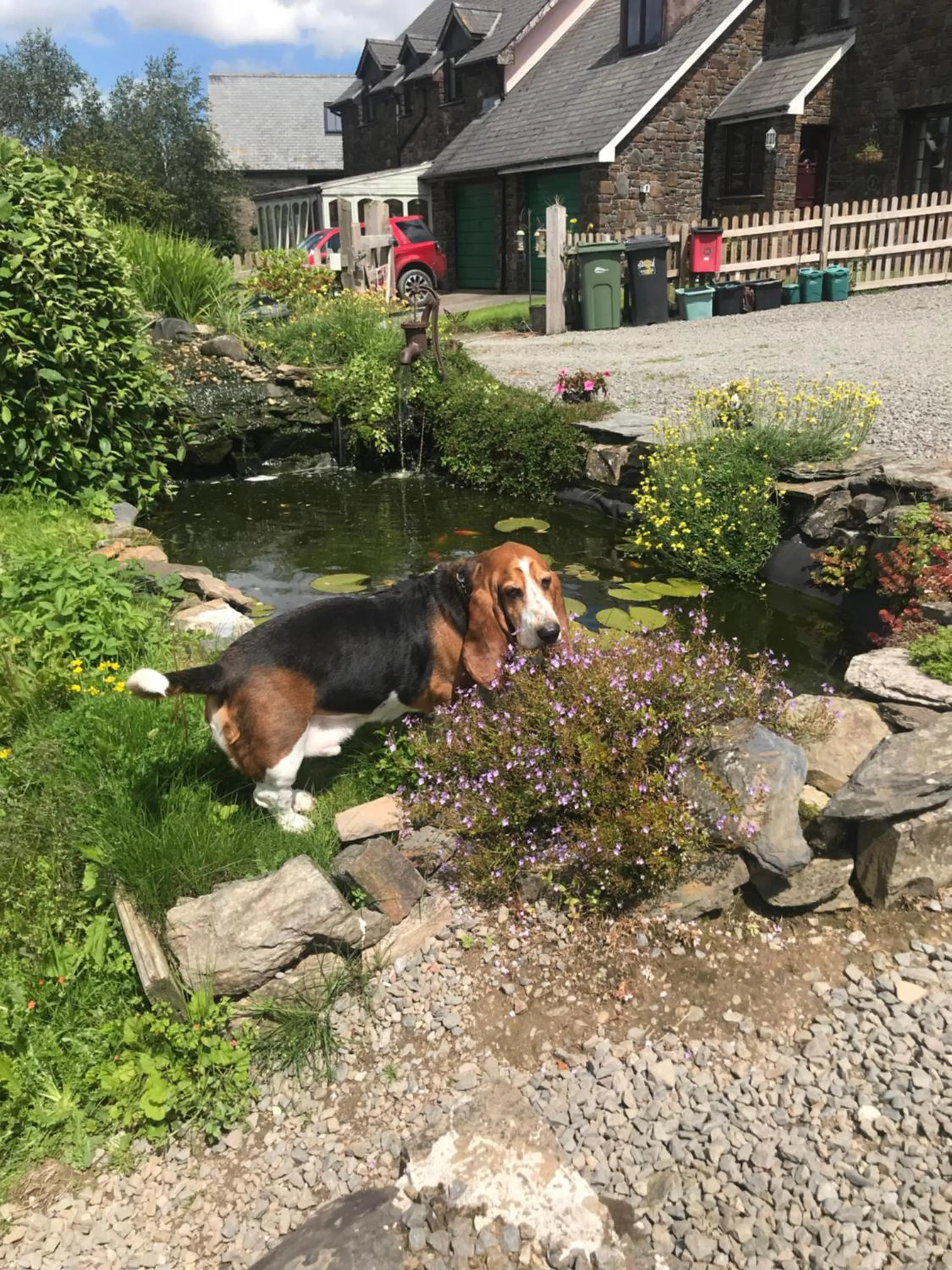 Stoke House Bed and Breakfast