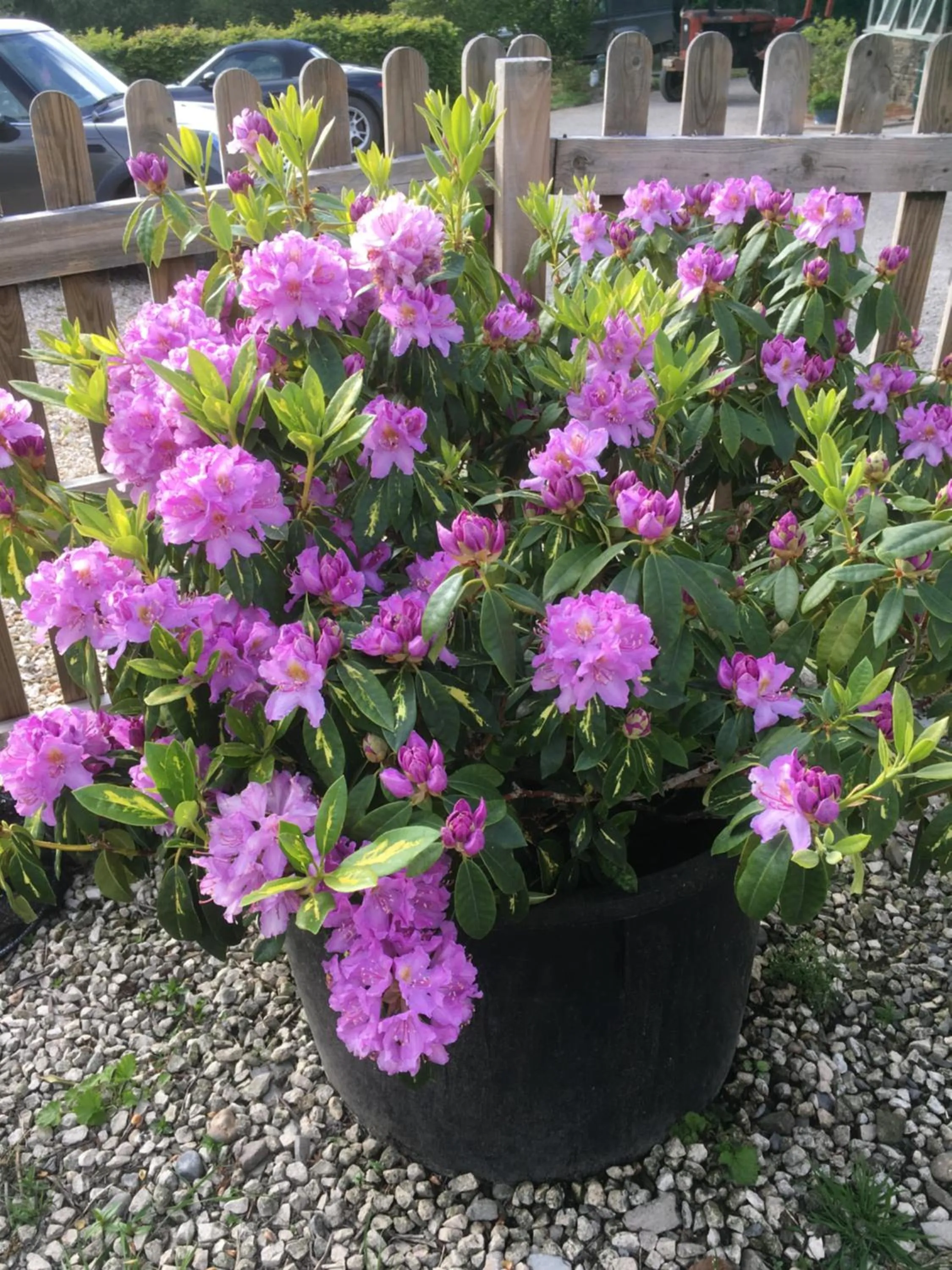 Stoke House Bed and Breakfast