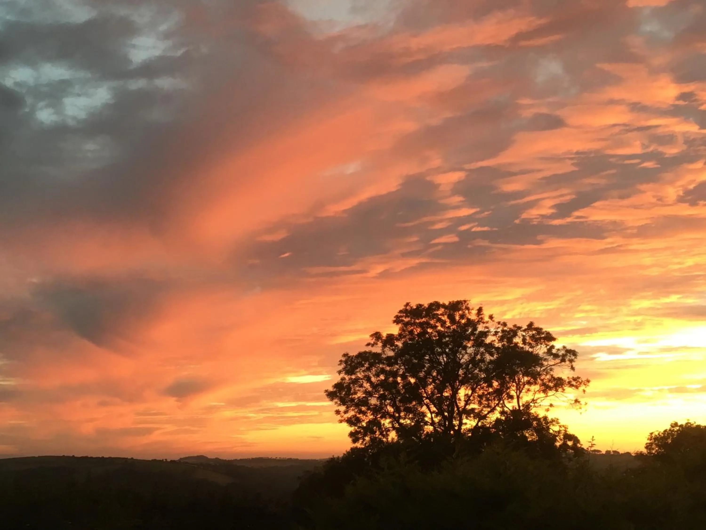 Stoke House Bed and Breakfast