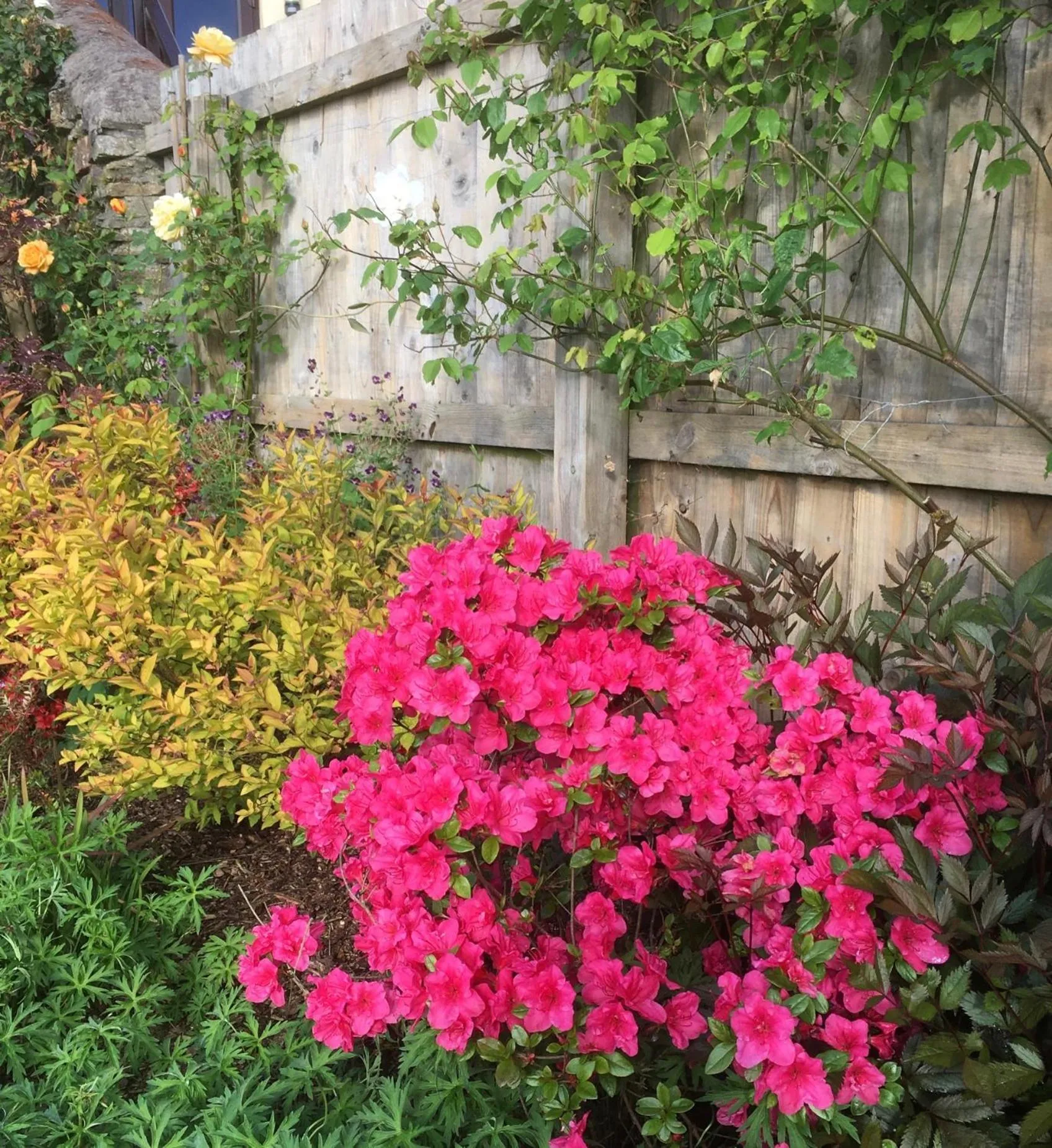 Stoke House Bed and Breakfast