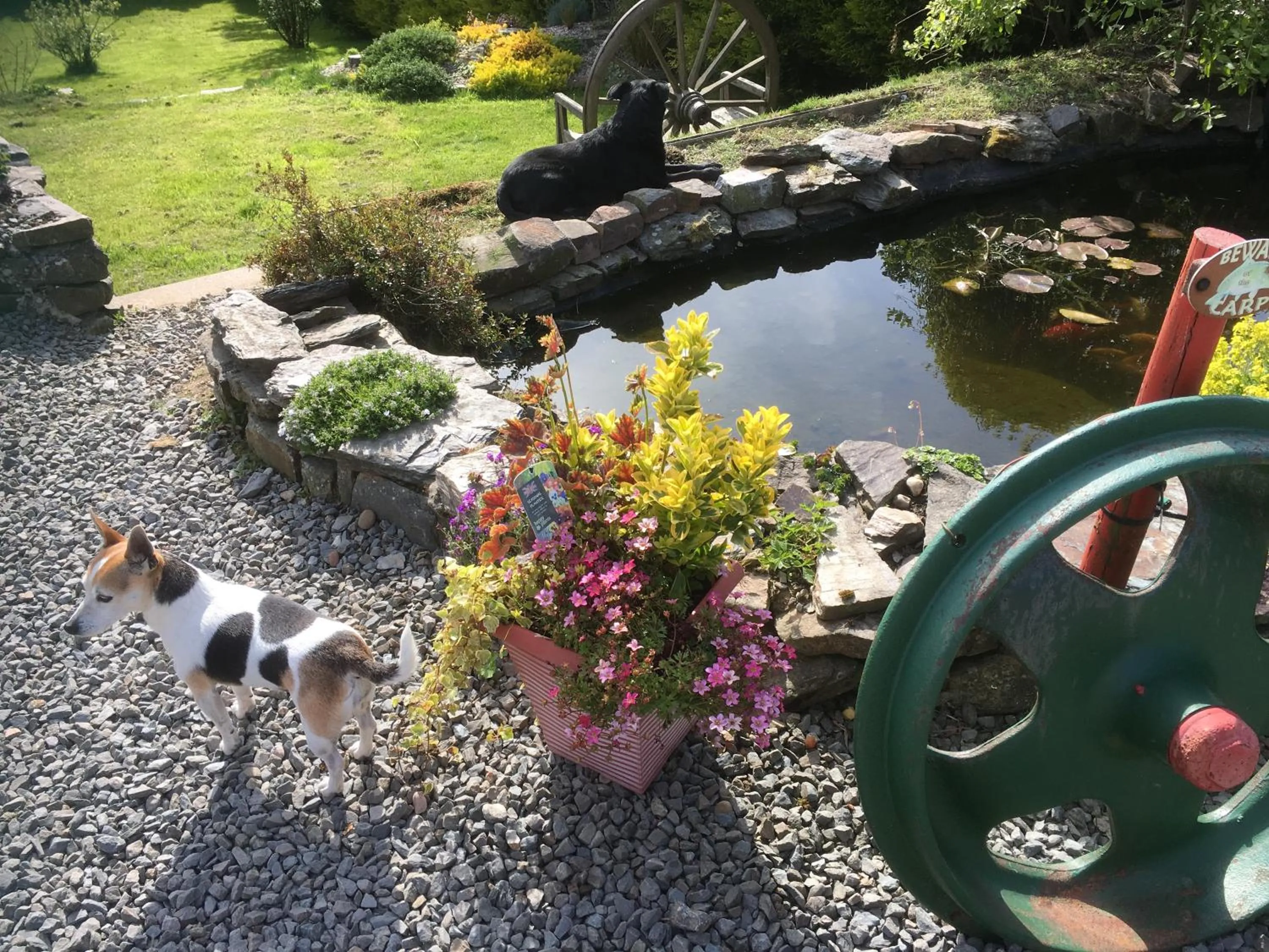 Stoke House Bed and Breakfast