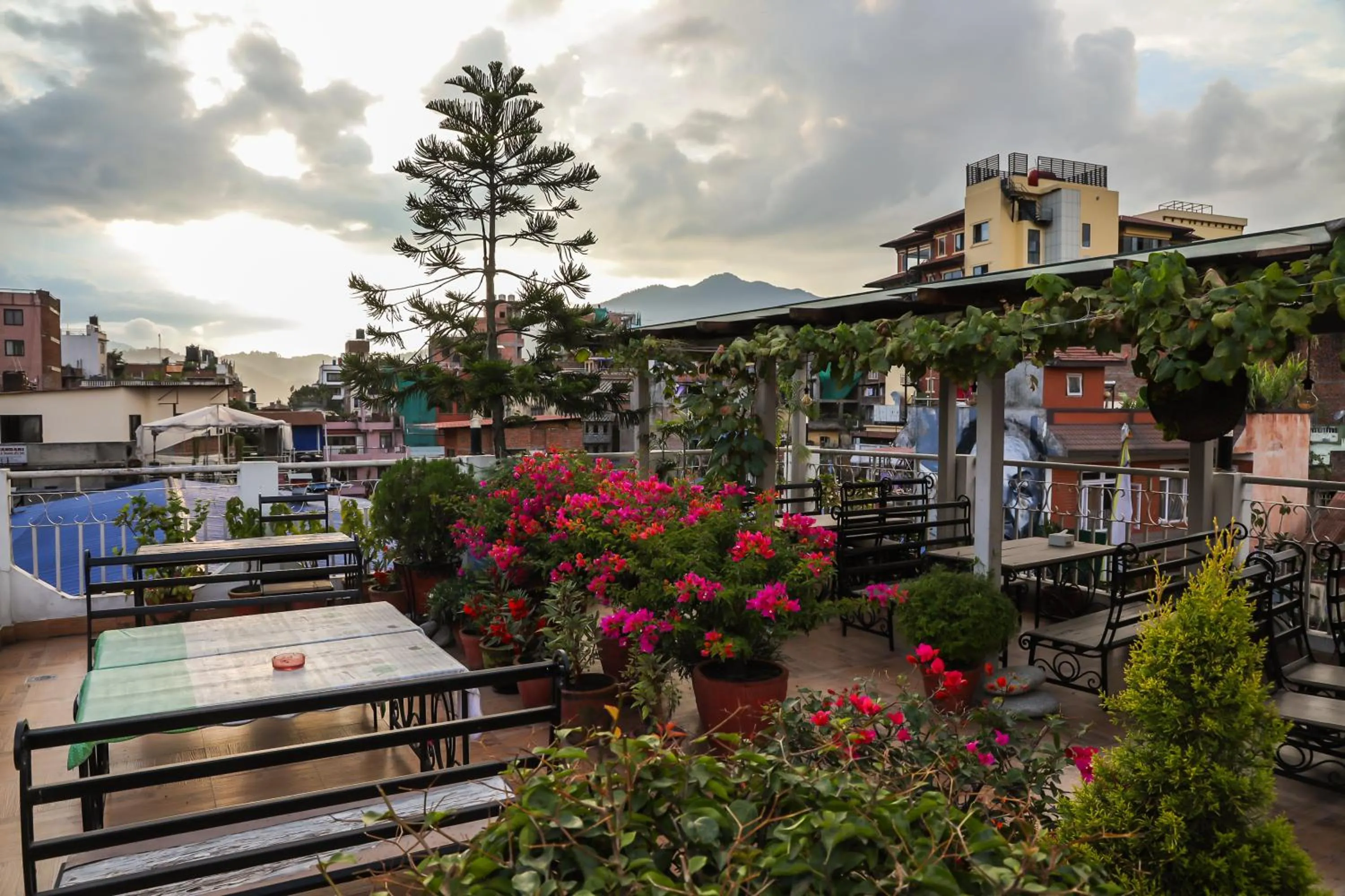 Balcony/Terrace in Hotel Himalayan Oasis