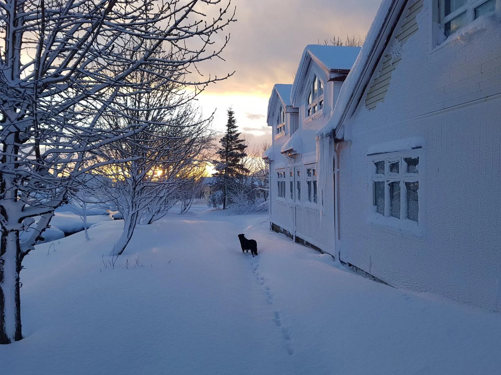 Facade/entrance in Miðhraun - Lava resort & Restaurant