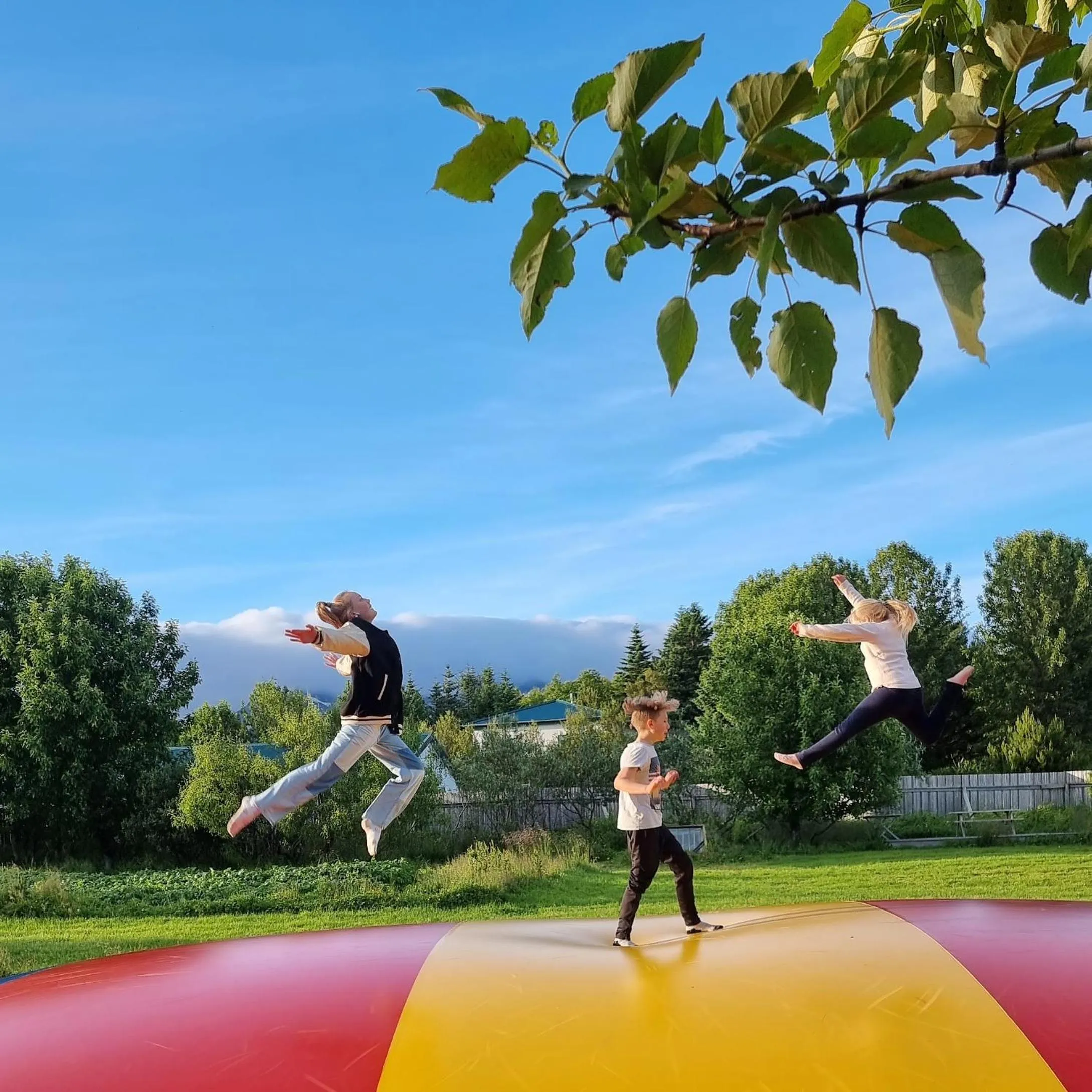 Natural landscape in Miðhraun - Lava resort & Restaurant