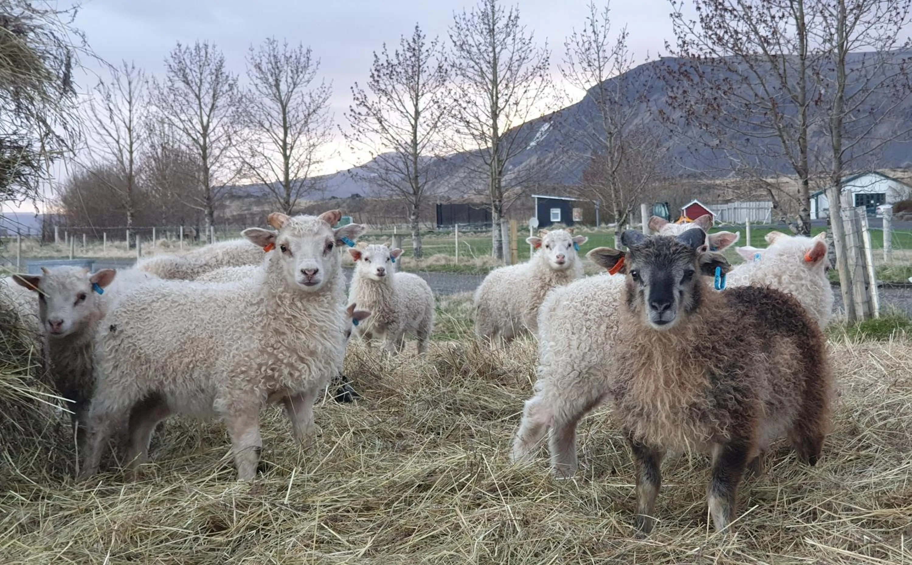 Nearby landmark in Miðhraun - Lava resort & Restaurant