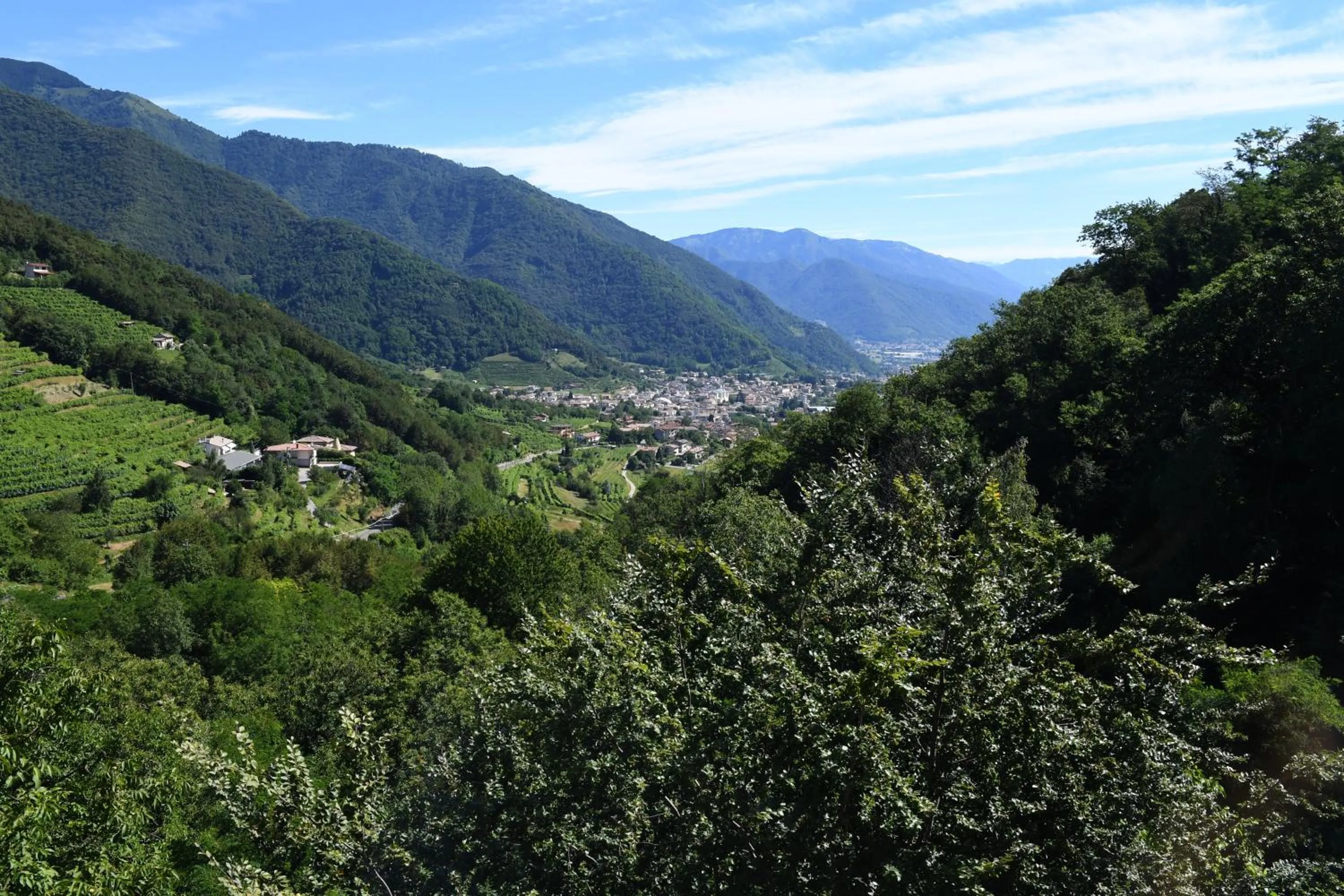 Mountain view in Bed and Breakfast Isabella