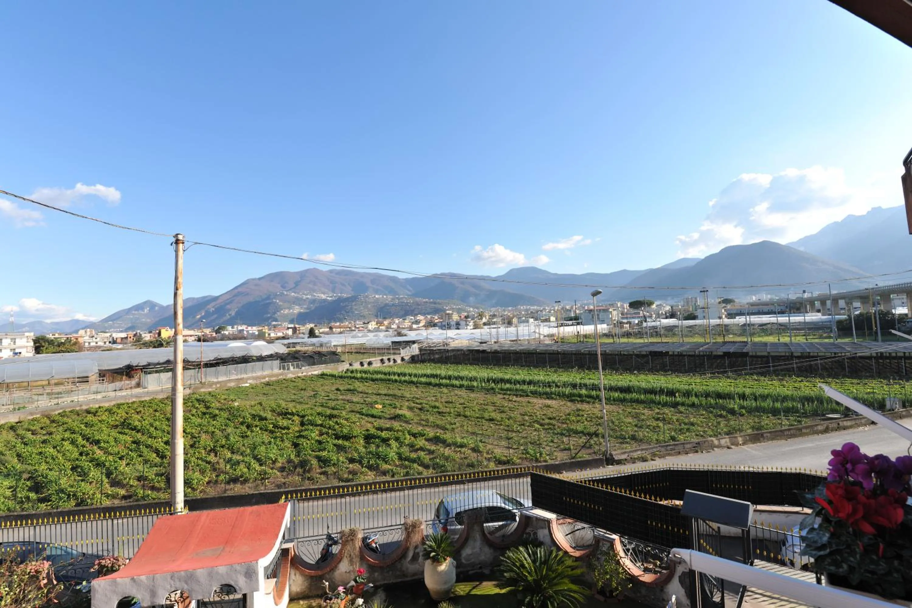 Balcony/Terrace in B&b Le Cycas
