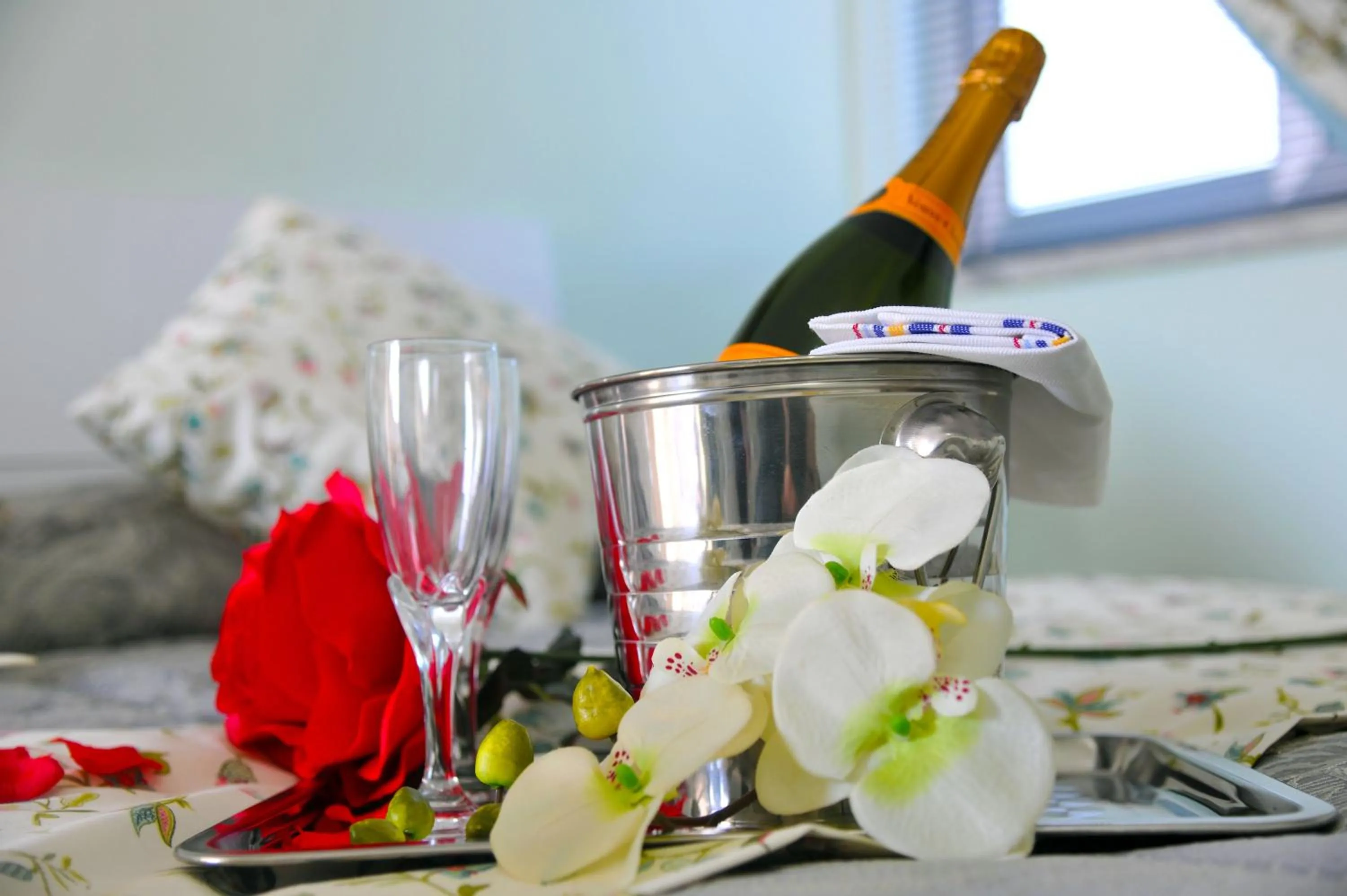 Alcoholic drinks in B&b Le Cycas