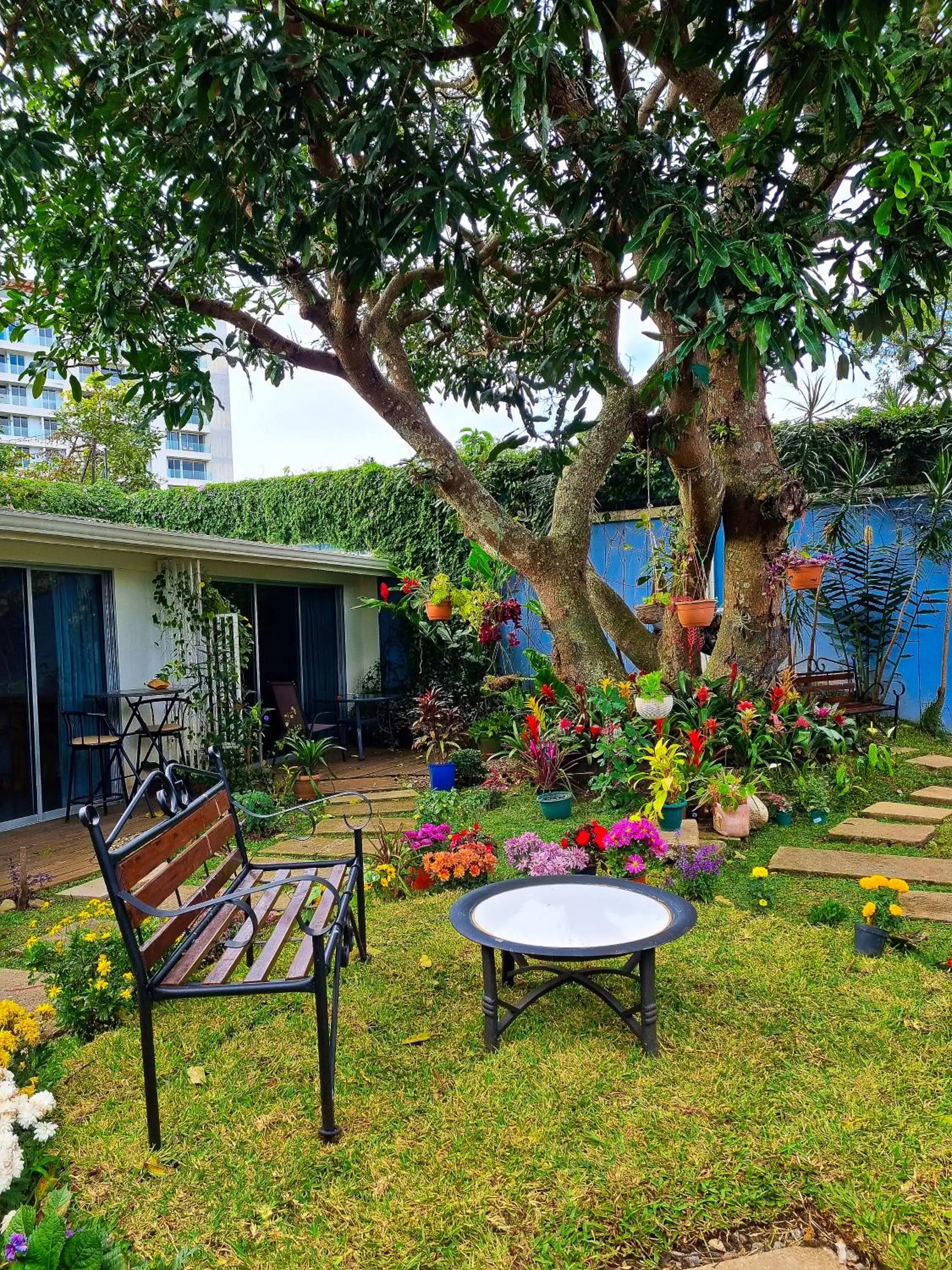 Balcony/Terrace in Casa Jardin del Mango