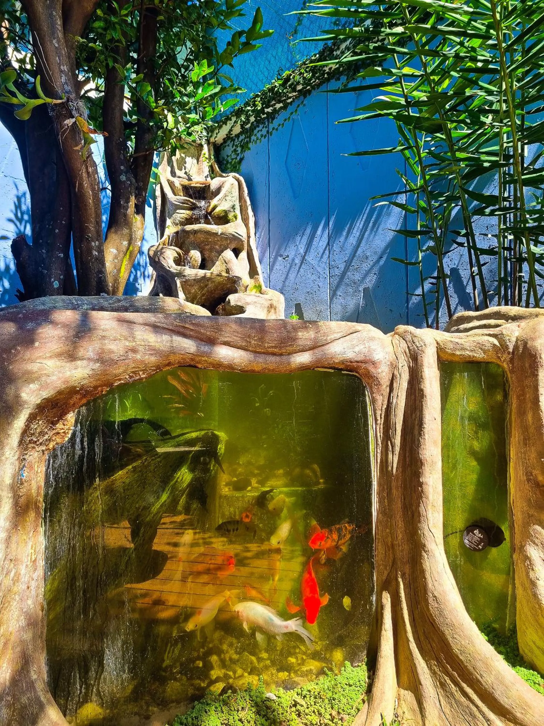 Day in Casa Jardin del Mango