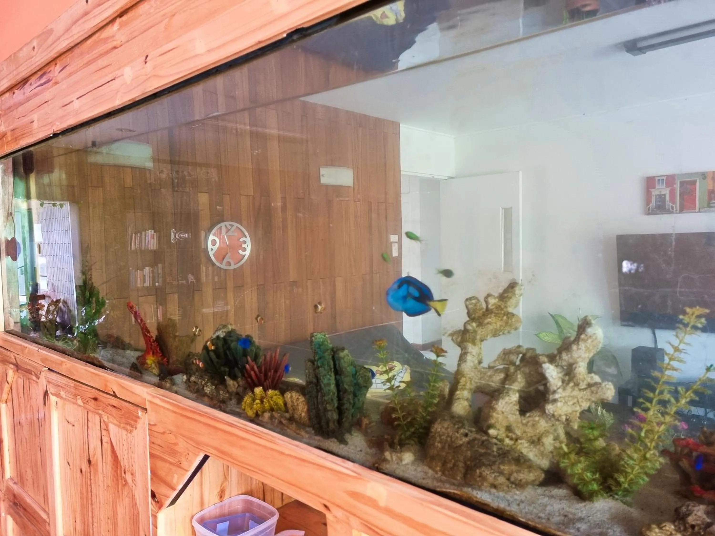 Living room in Casa Jardin del Mango